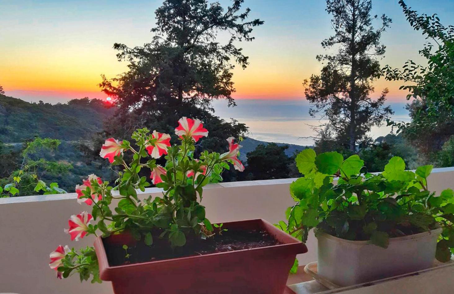 Endless green 1 Arethousa Ikaria