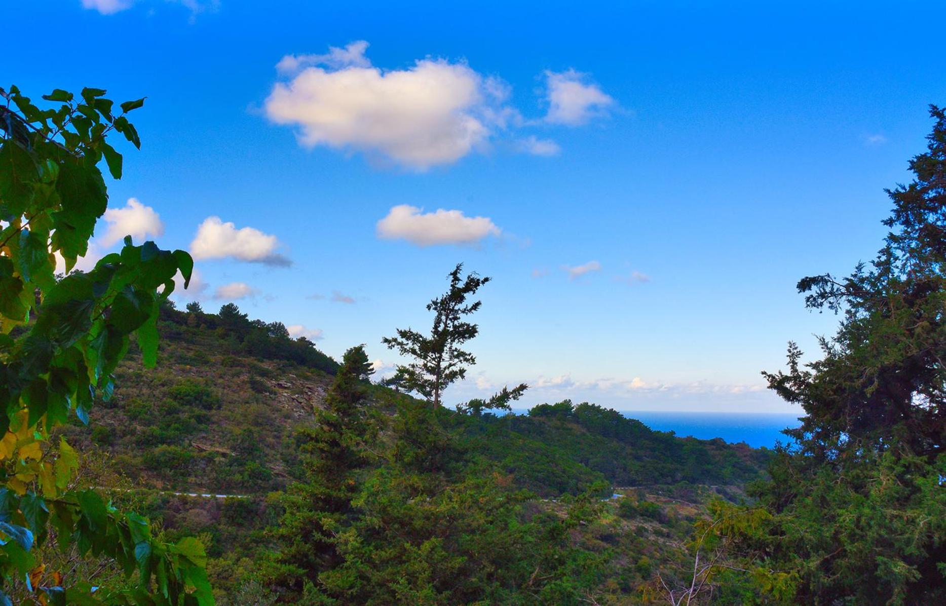 Endless green 1 Arethousa Ikaria