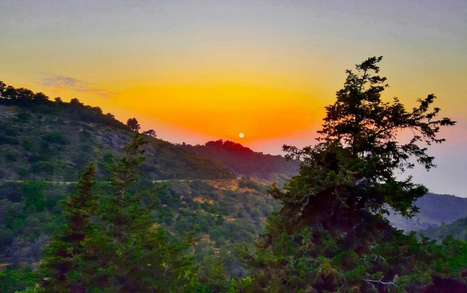 Endless green 1 Arethousa Ikaria