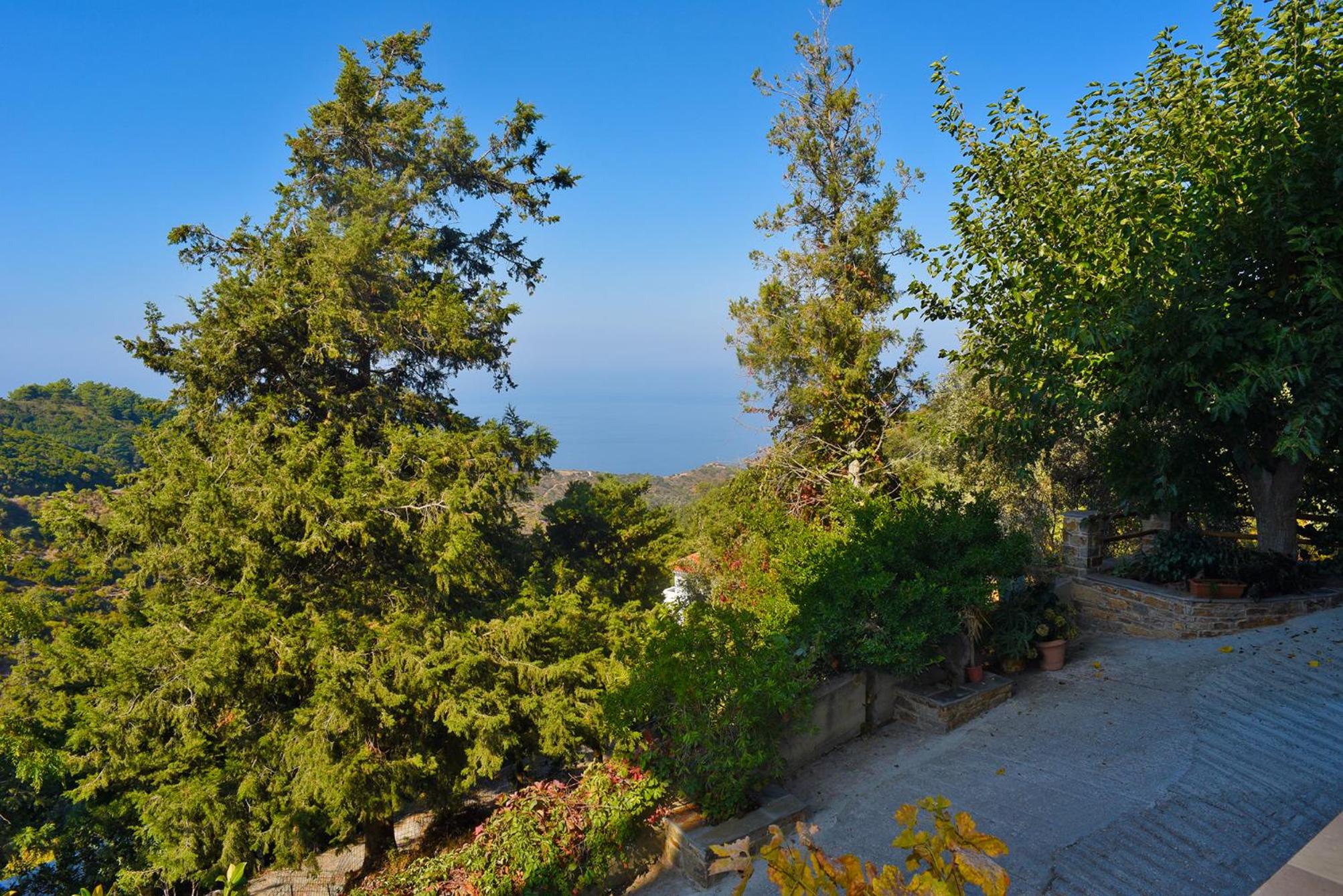 Endless green 1 Arethousa Ikaria