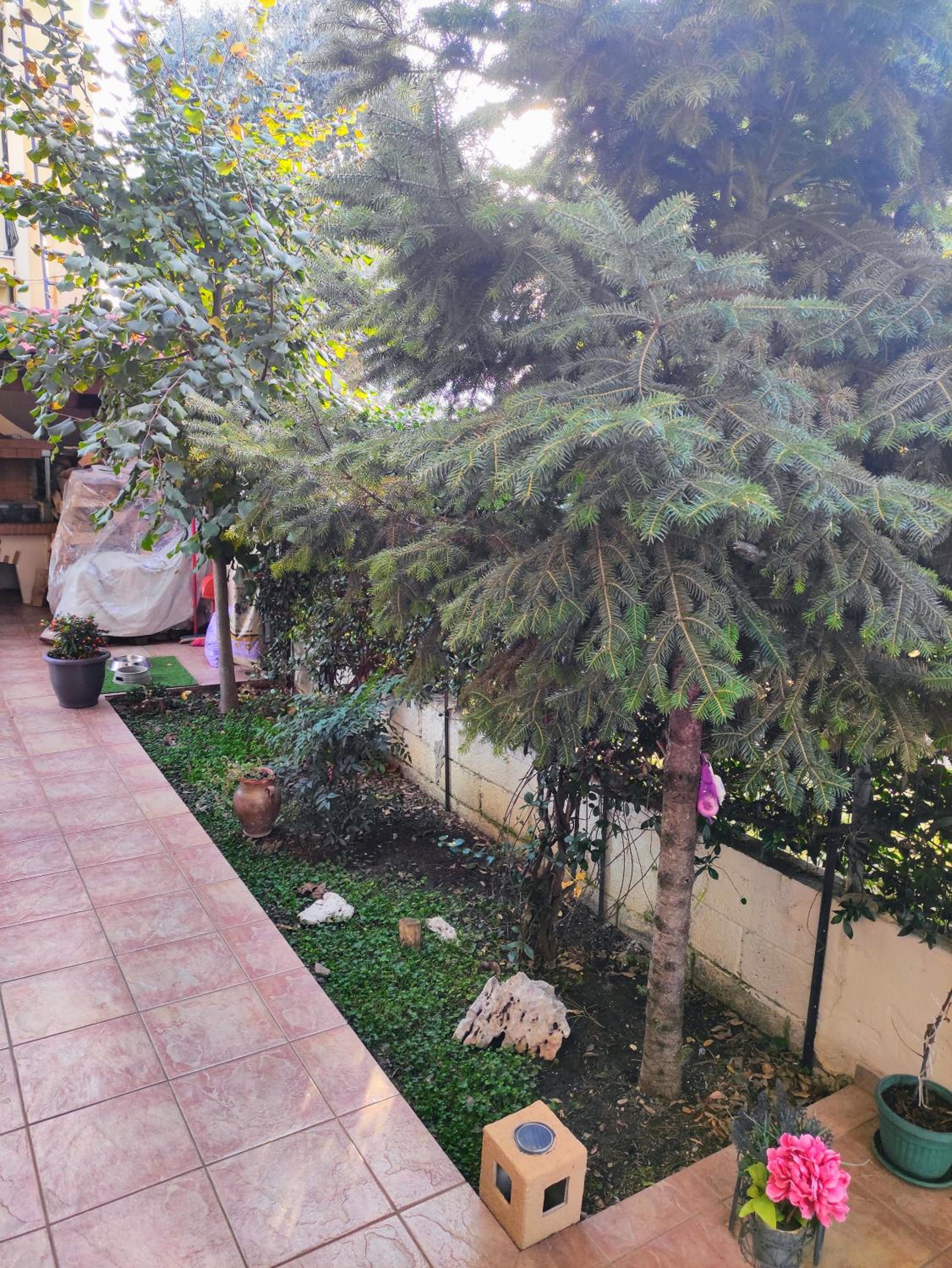 Spyros's Home