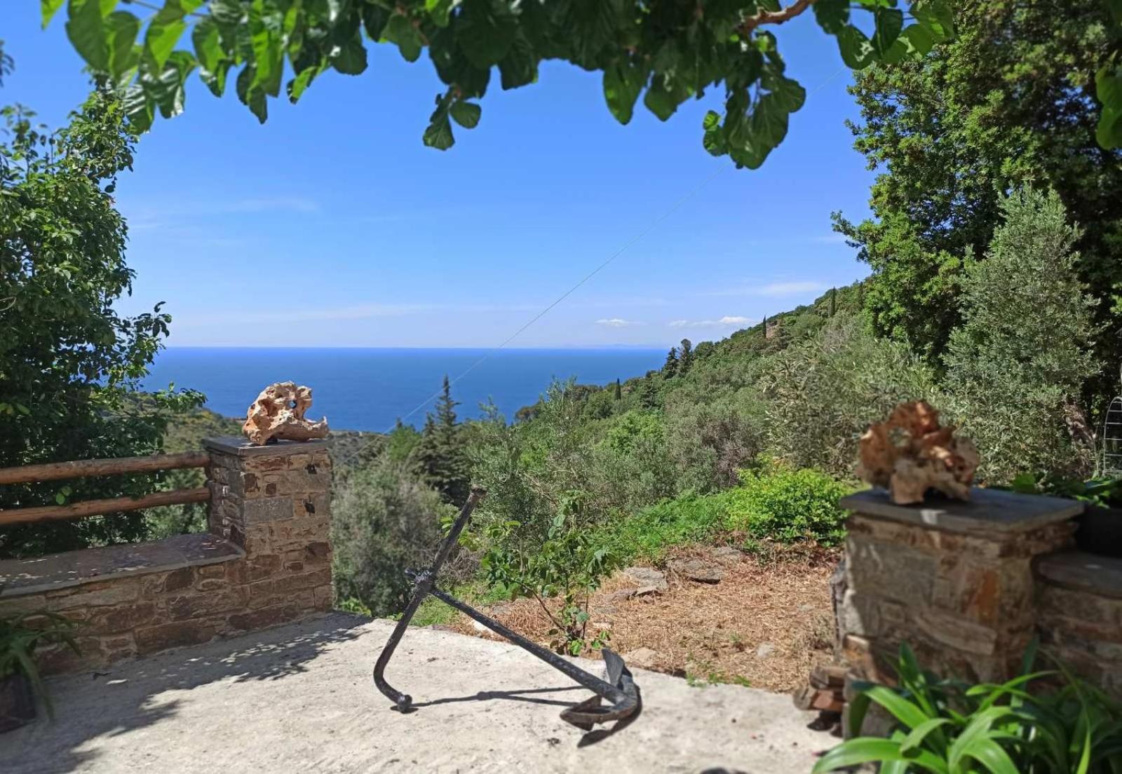 Endless green 1 Arethousa Ikaria