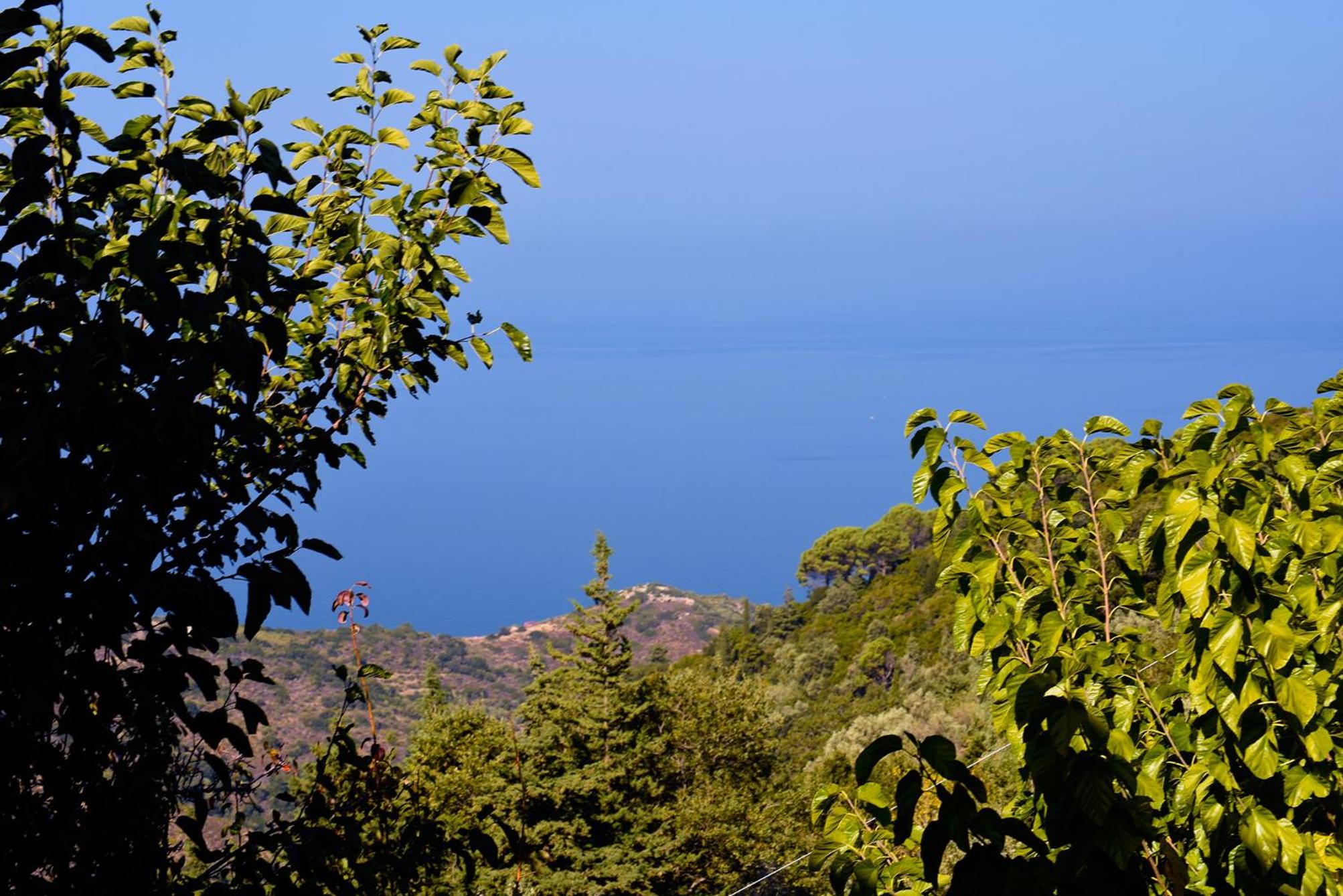 Endless green 1 Arethousa Ikaria