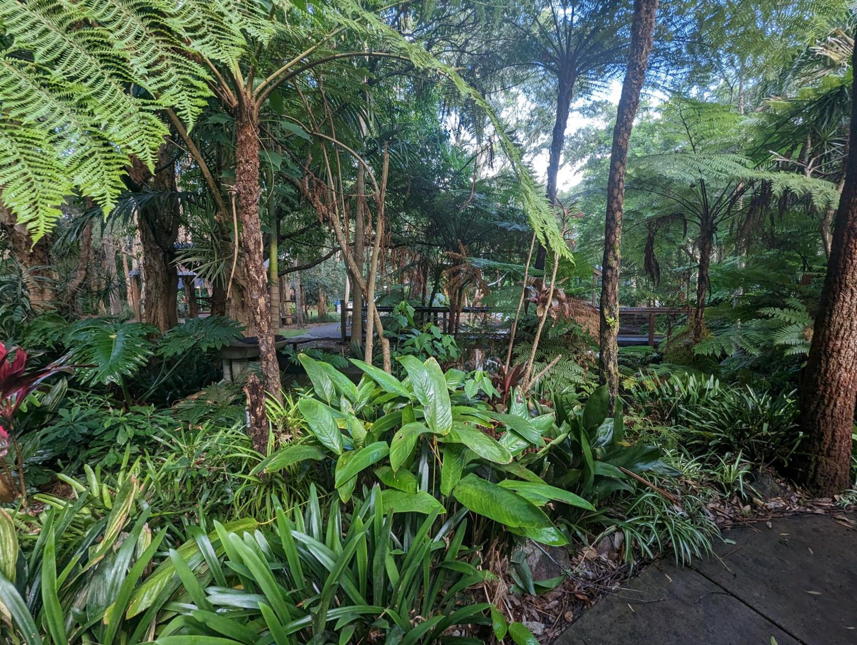 The Oasis at One Mile Beach