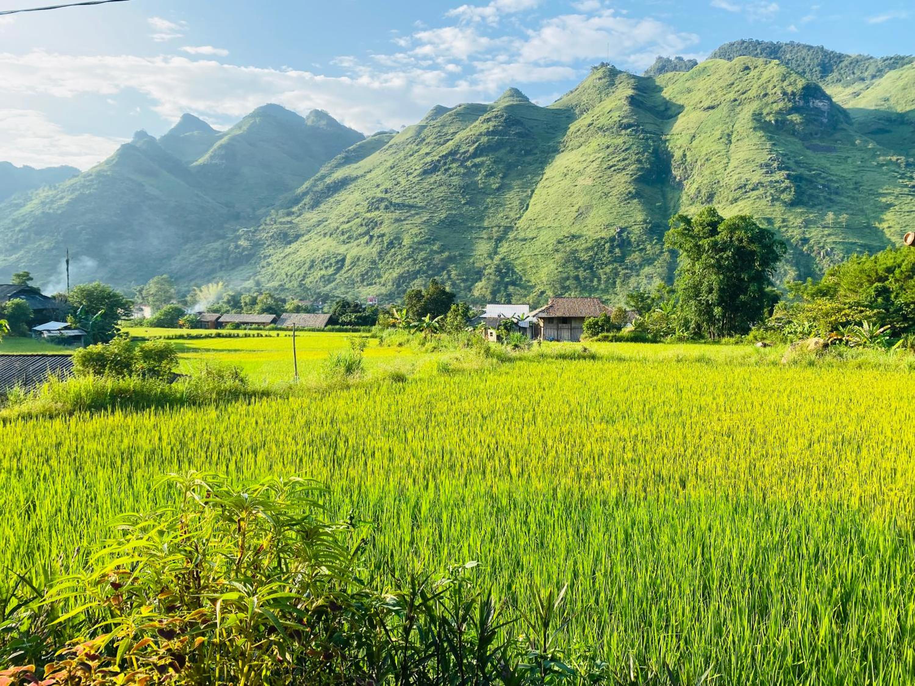 Du Gia Field View Homestay