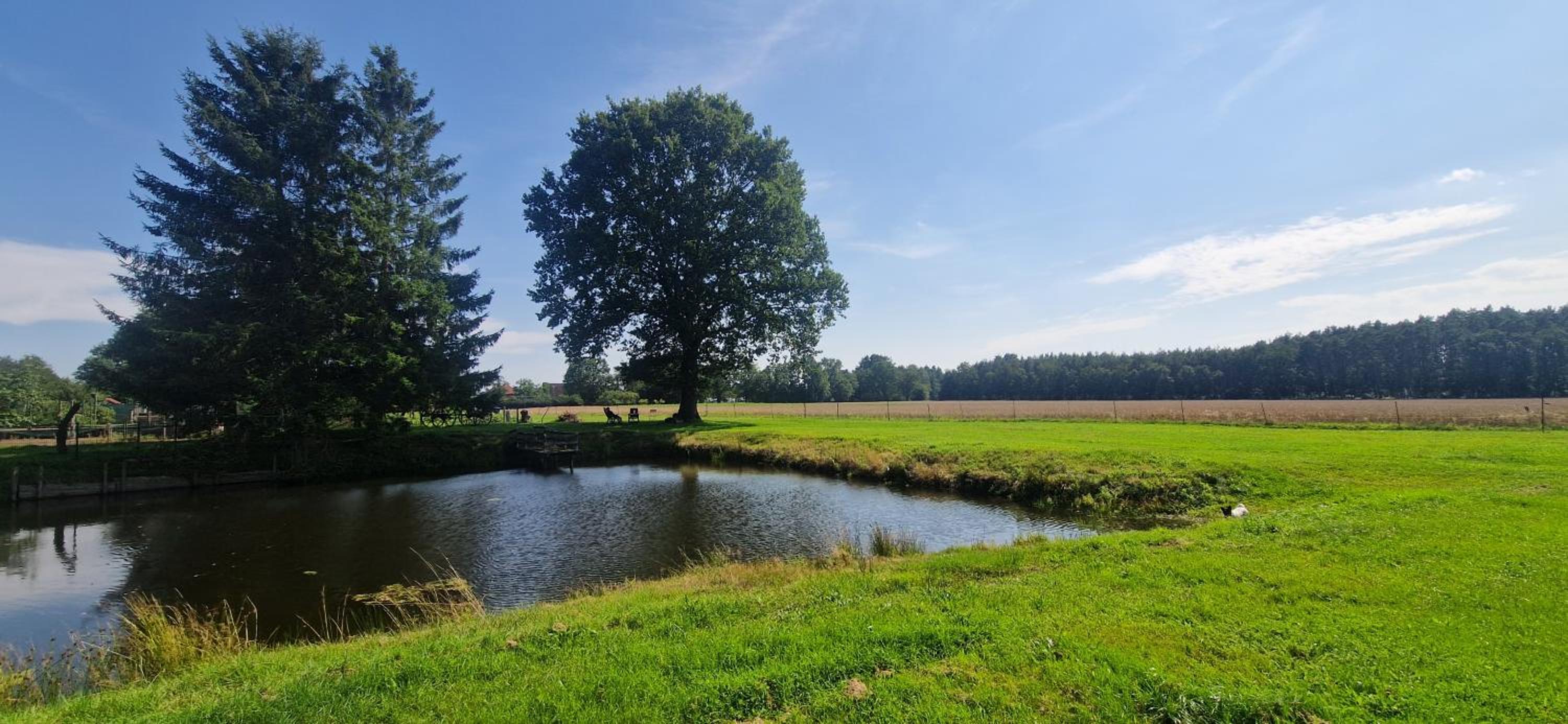 Gemütliche Wohnung am Wald