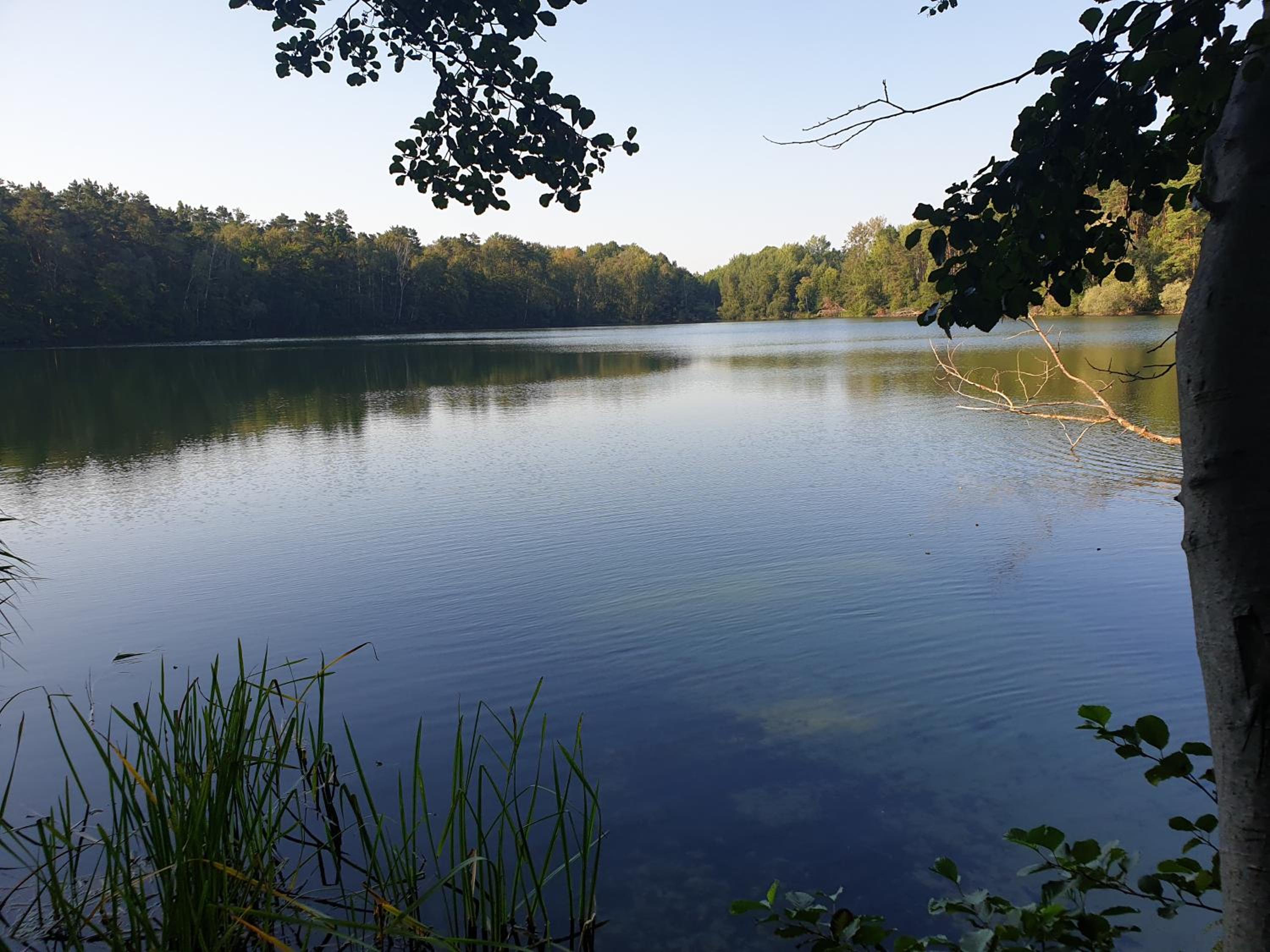 Haus am See und Berlinnah