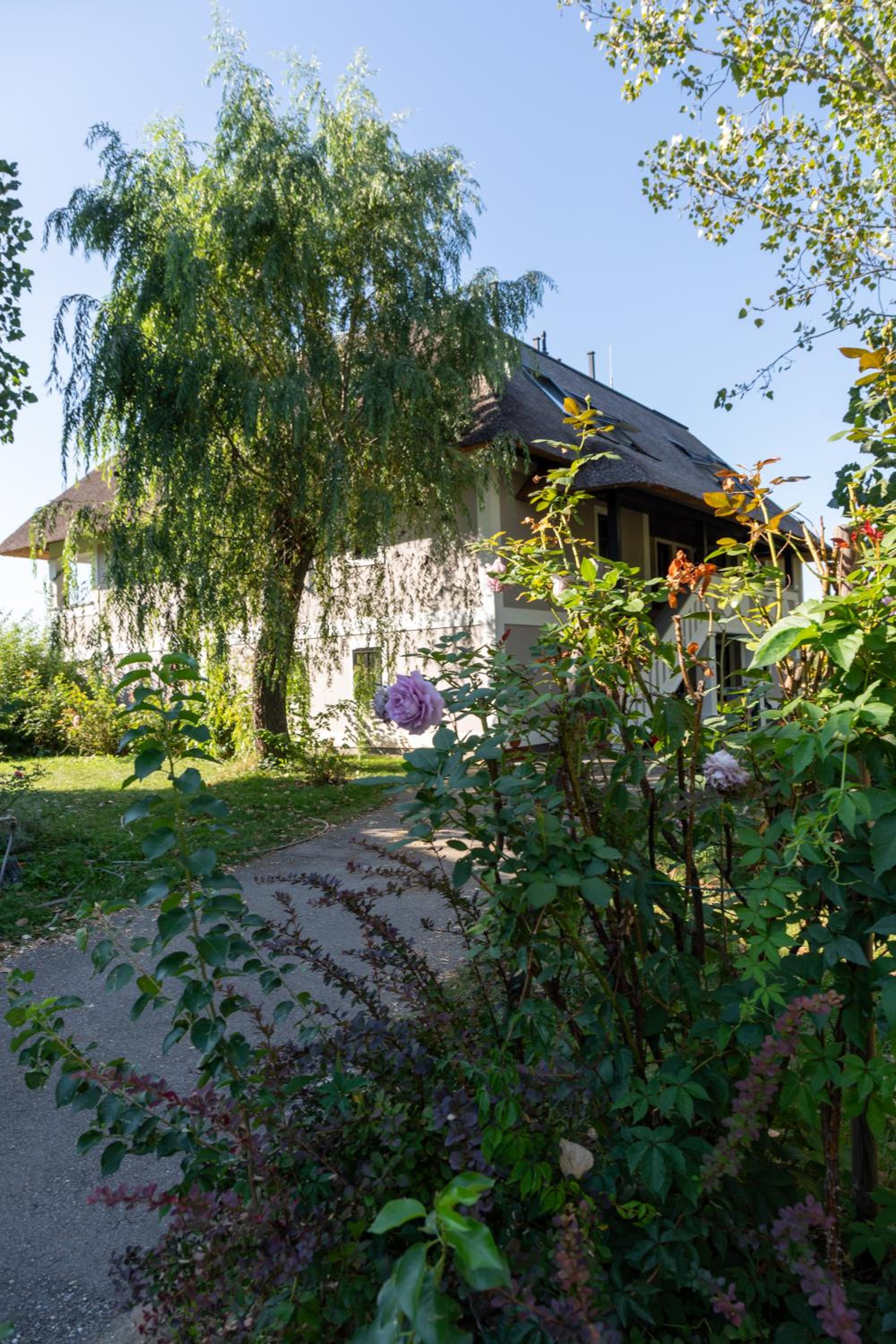 Seepark Weiden - Baumhof