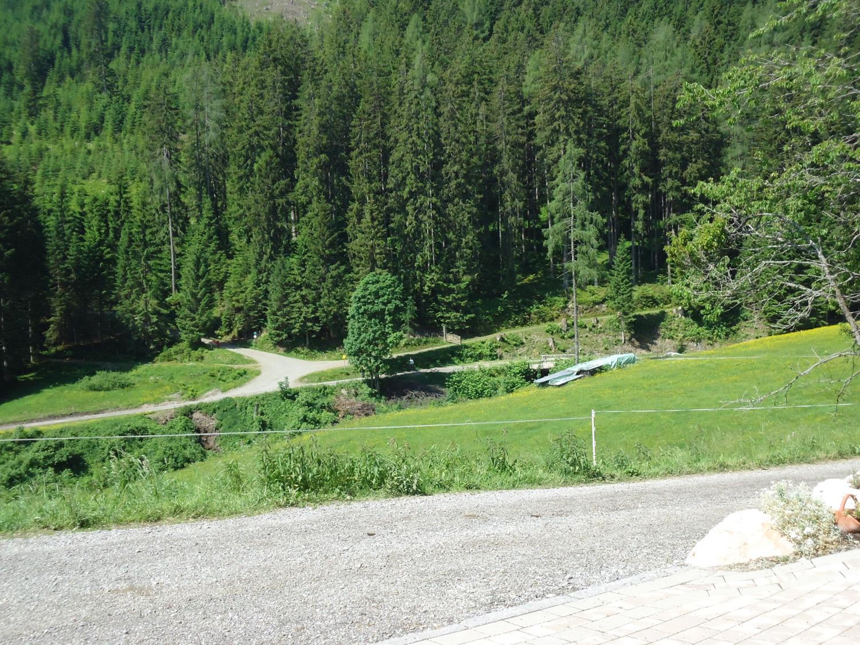 Gsenghof