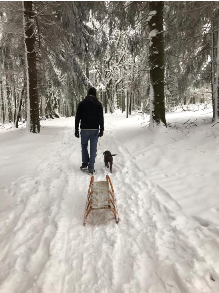 Fachwerkhaus im Sauerland - Goldhase Anno 1700