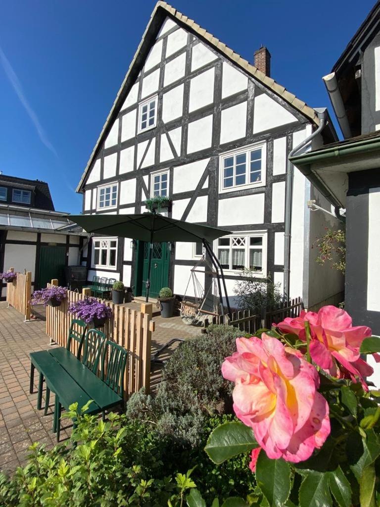 Fachwerkhaus im Sauerland - Goldhase Anno 1700