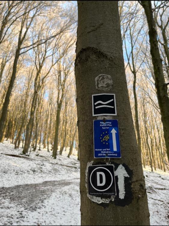 Fachwerkhaus im Sauerland - Goldhase Anno 1700