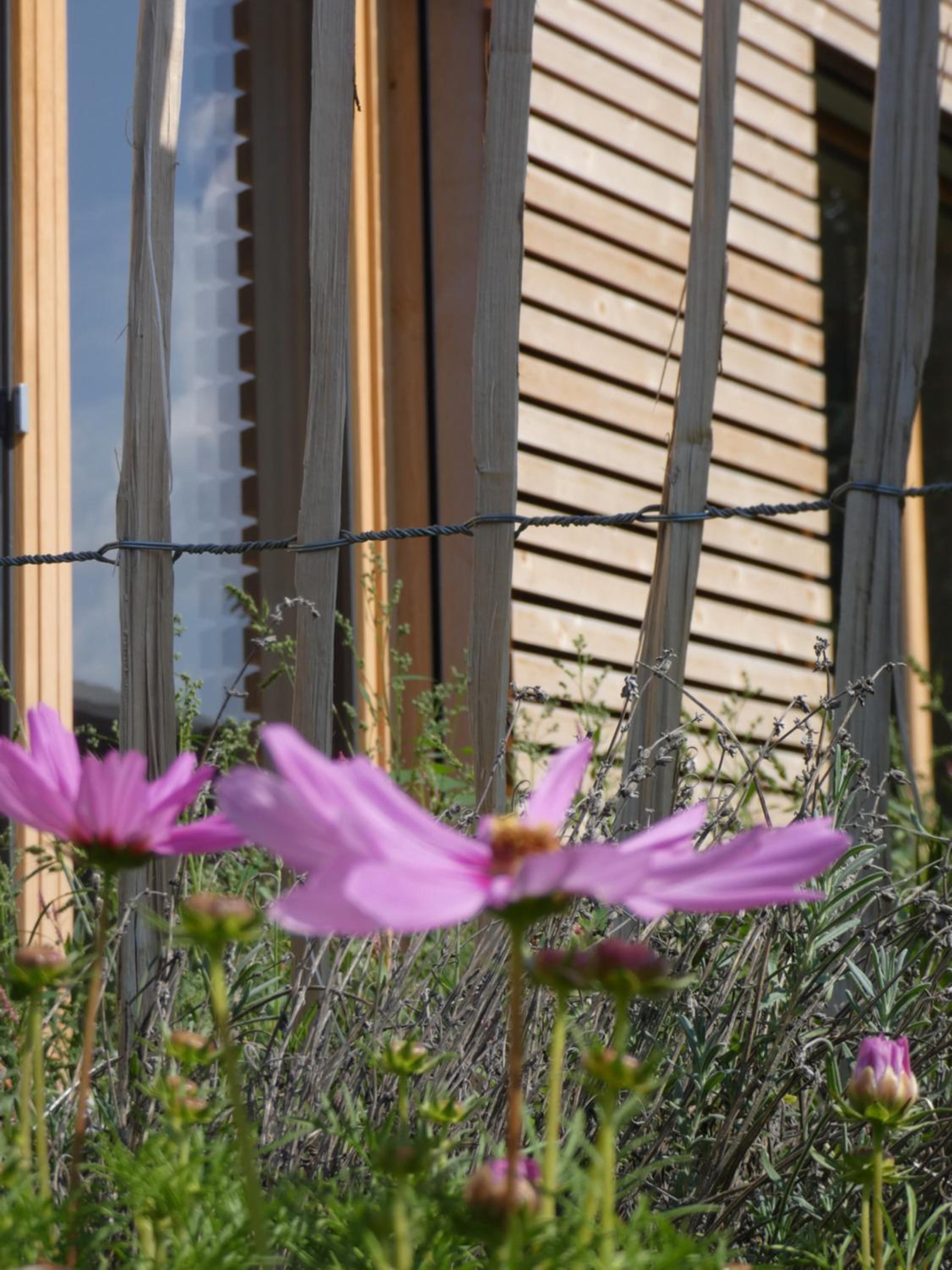 Stylische Fewo in Bestlage in neugebautem Holzhaus mit Oberstaufen Plus
