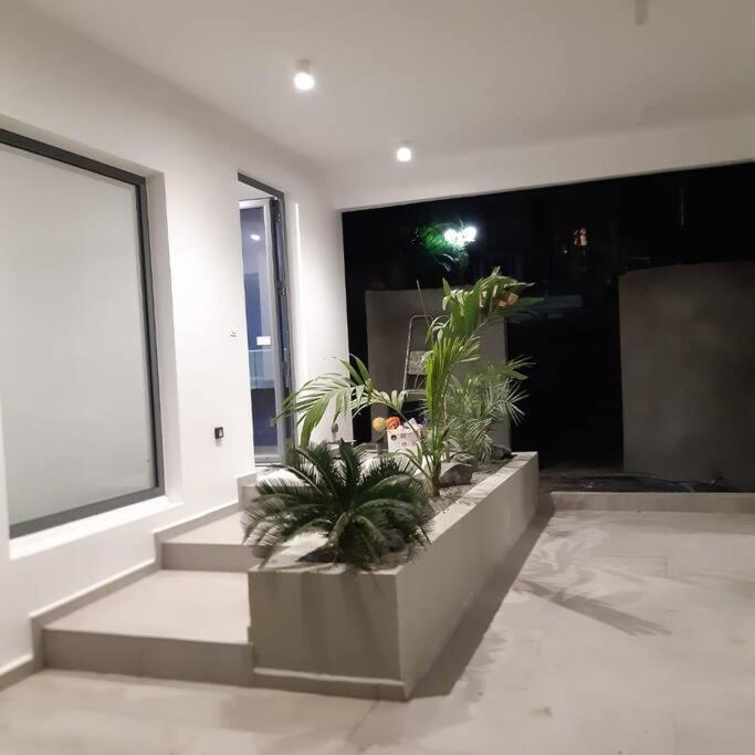 PALM VILLAS view 3