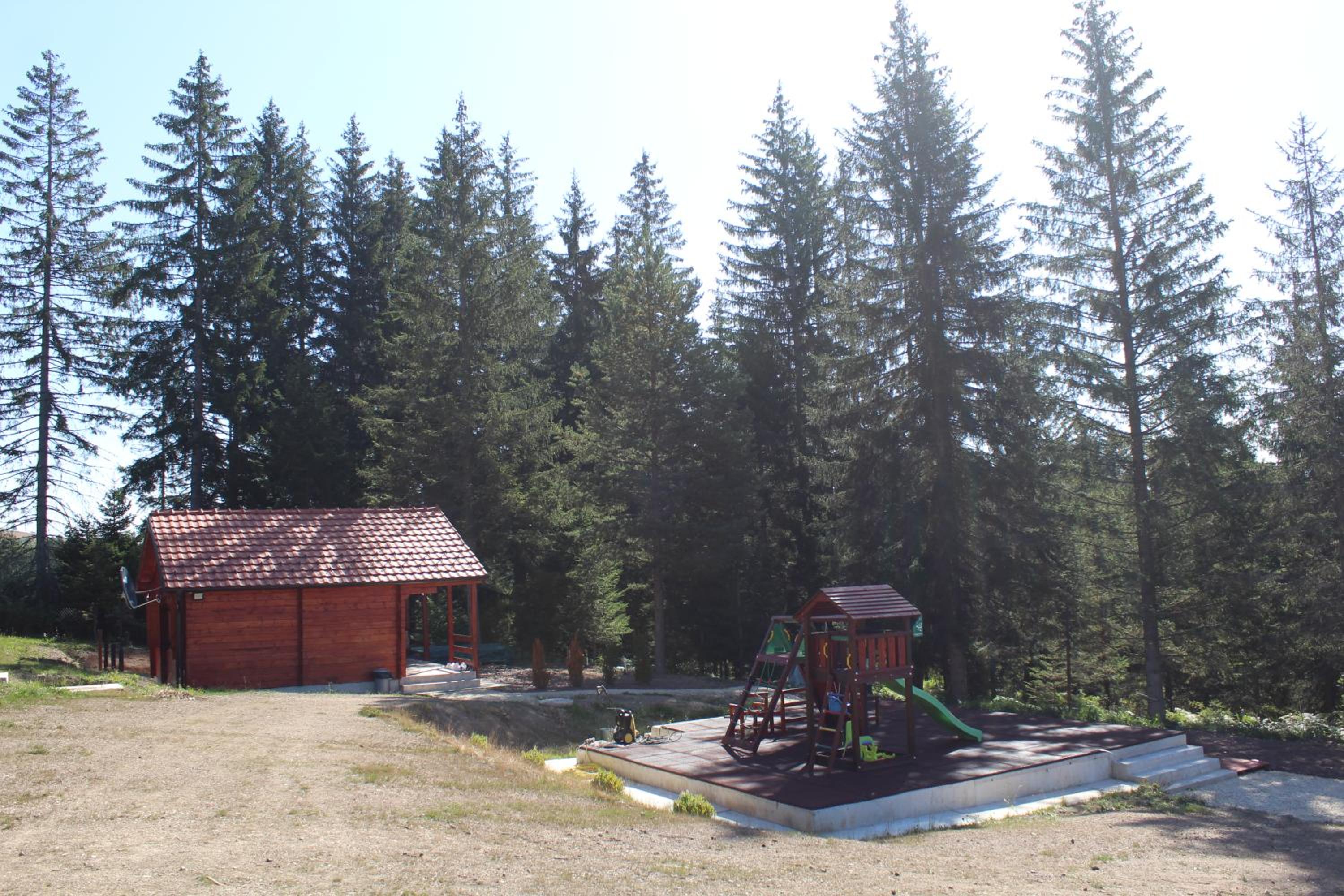 Photo 11