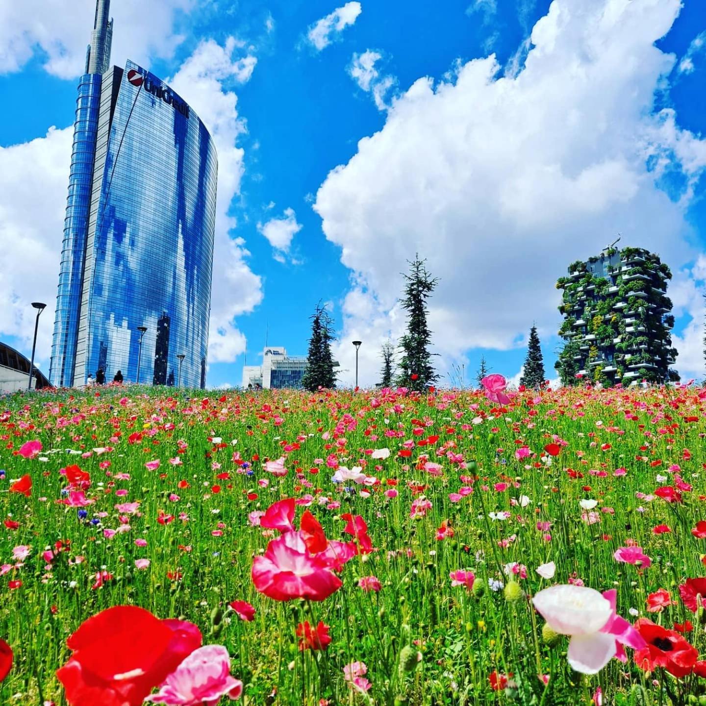 OurJoy & SkyJoy condo units - Via M Gioia, 47 - Strong WiFi, 1 private parking, Central Station, Milan