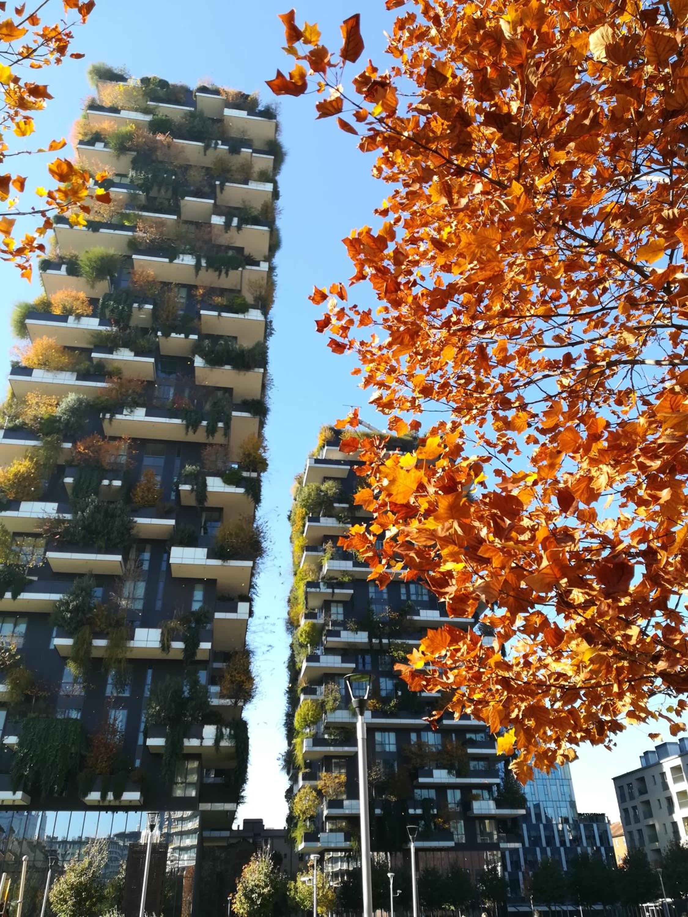 OurJoy & SkyJoy condo units - Via M Gioia, 47 - Strong WiFi, 1 private parking, Central Station, Milan