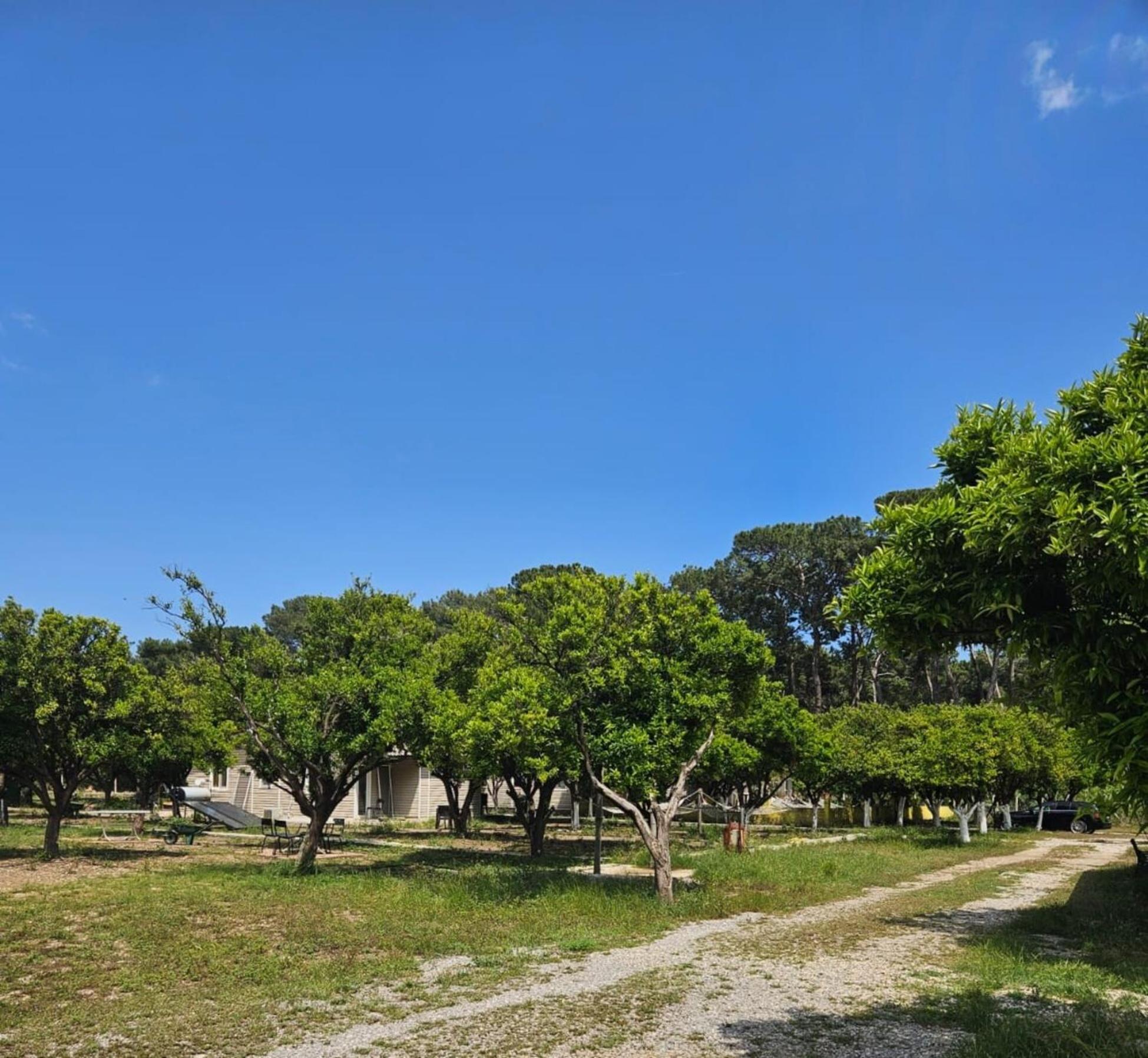 ORANGE BEACH CAMP, photo 16