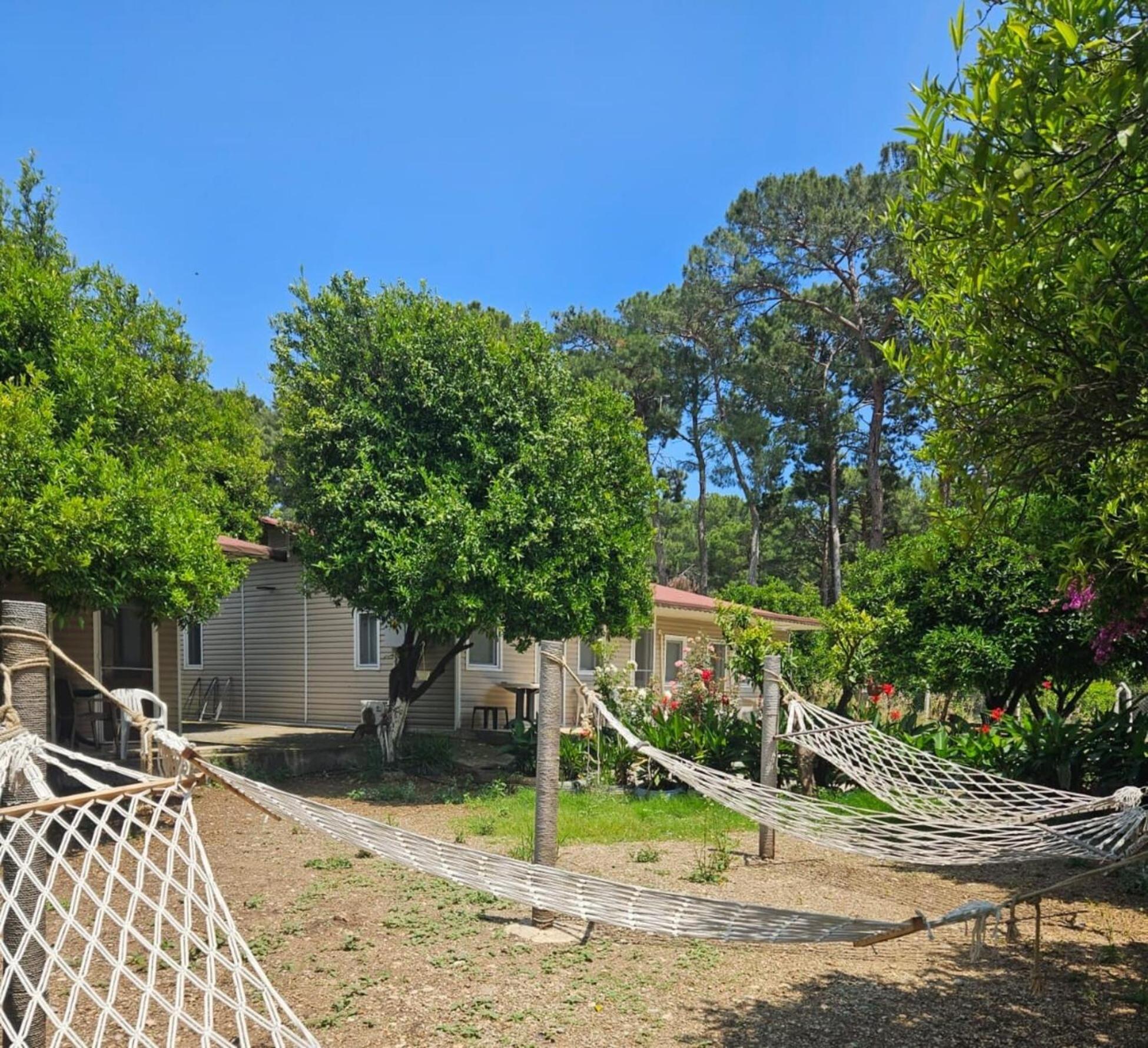 ORANGE BEACH CAMP, photo 42