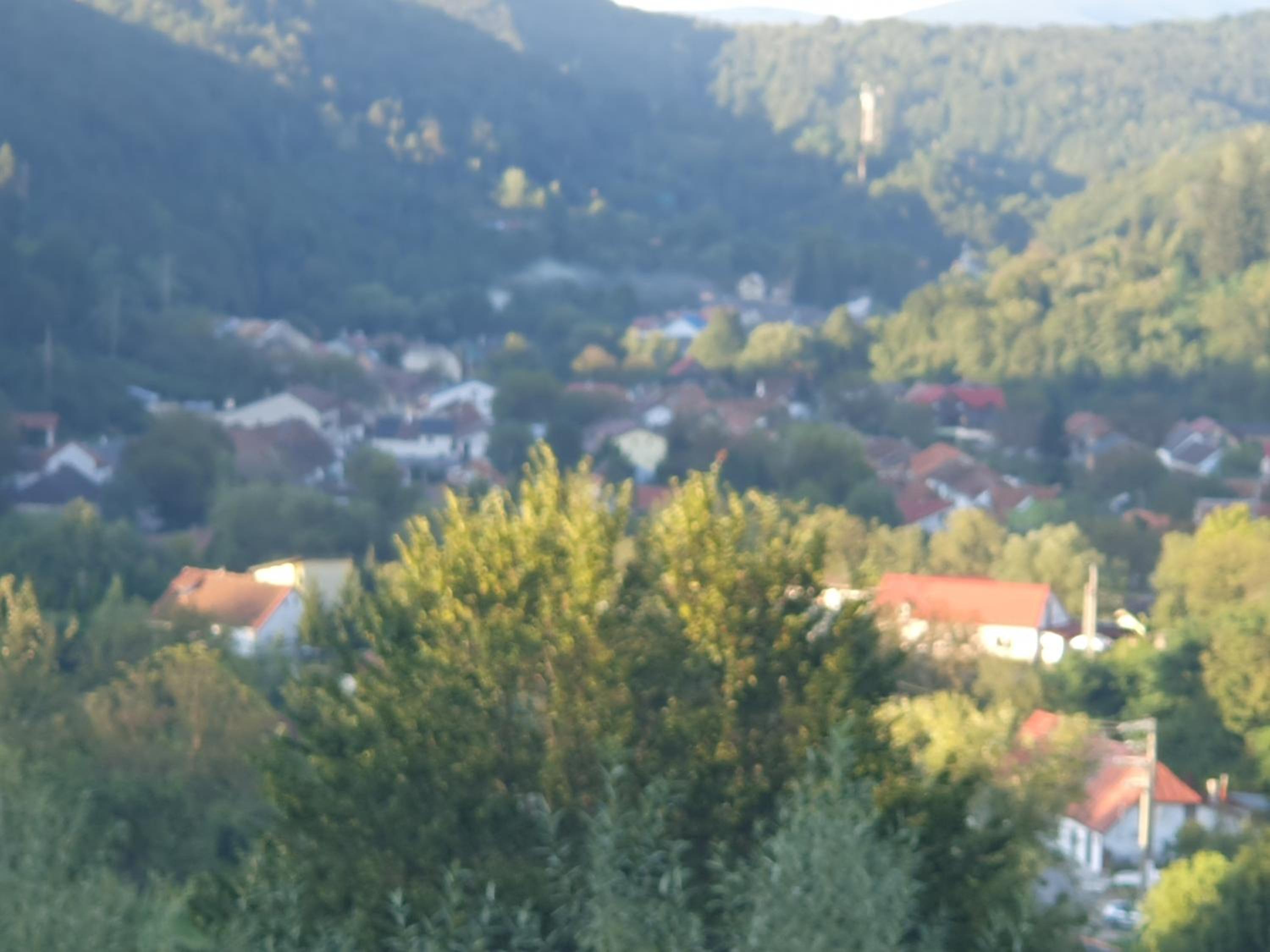 Photo 24