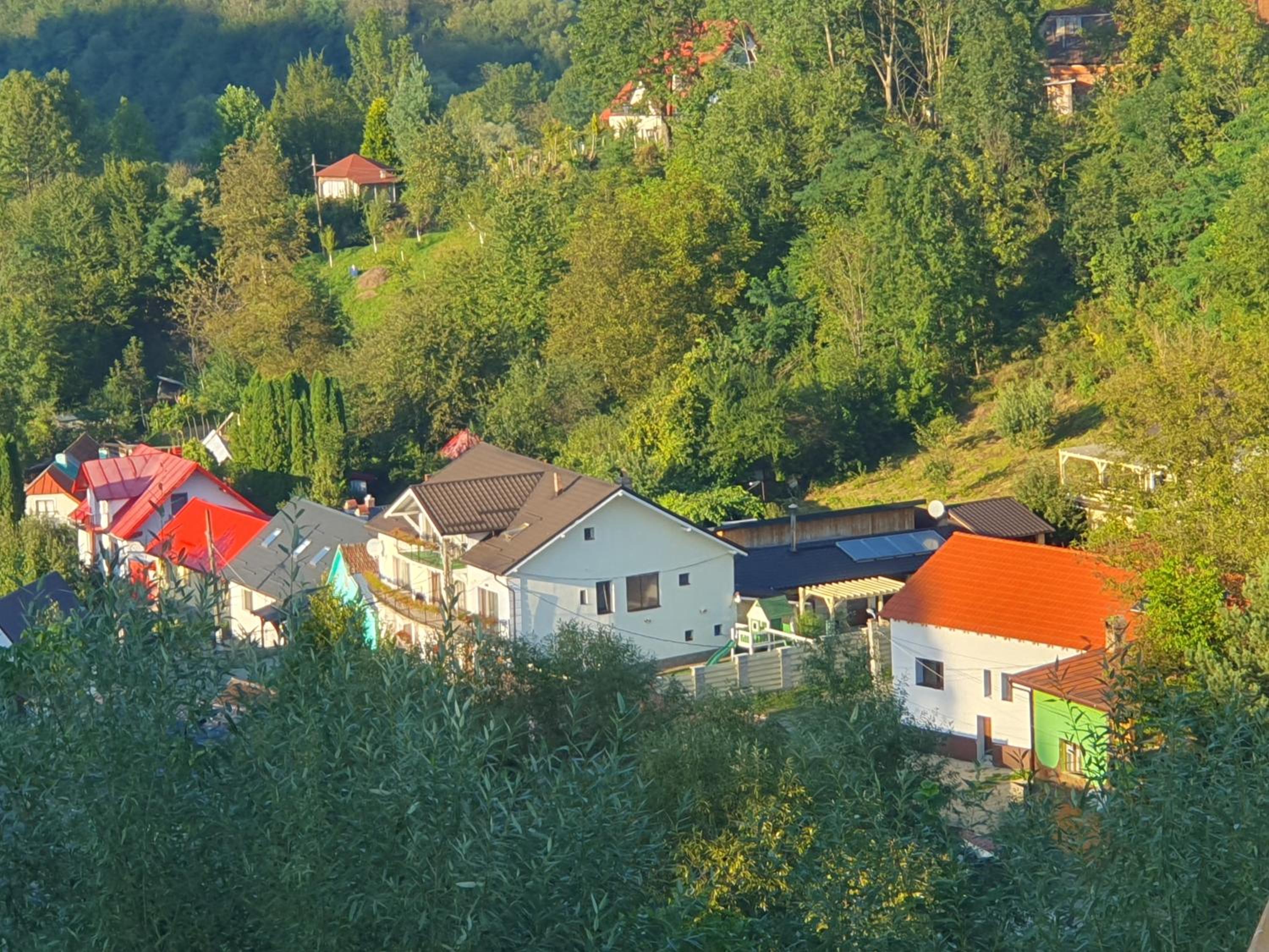 Photo 30