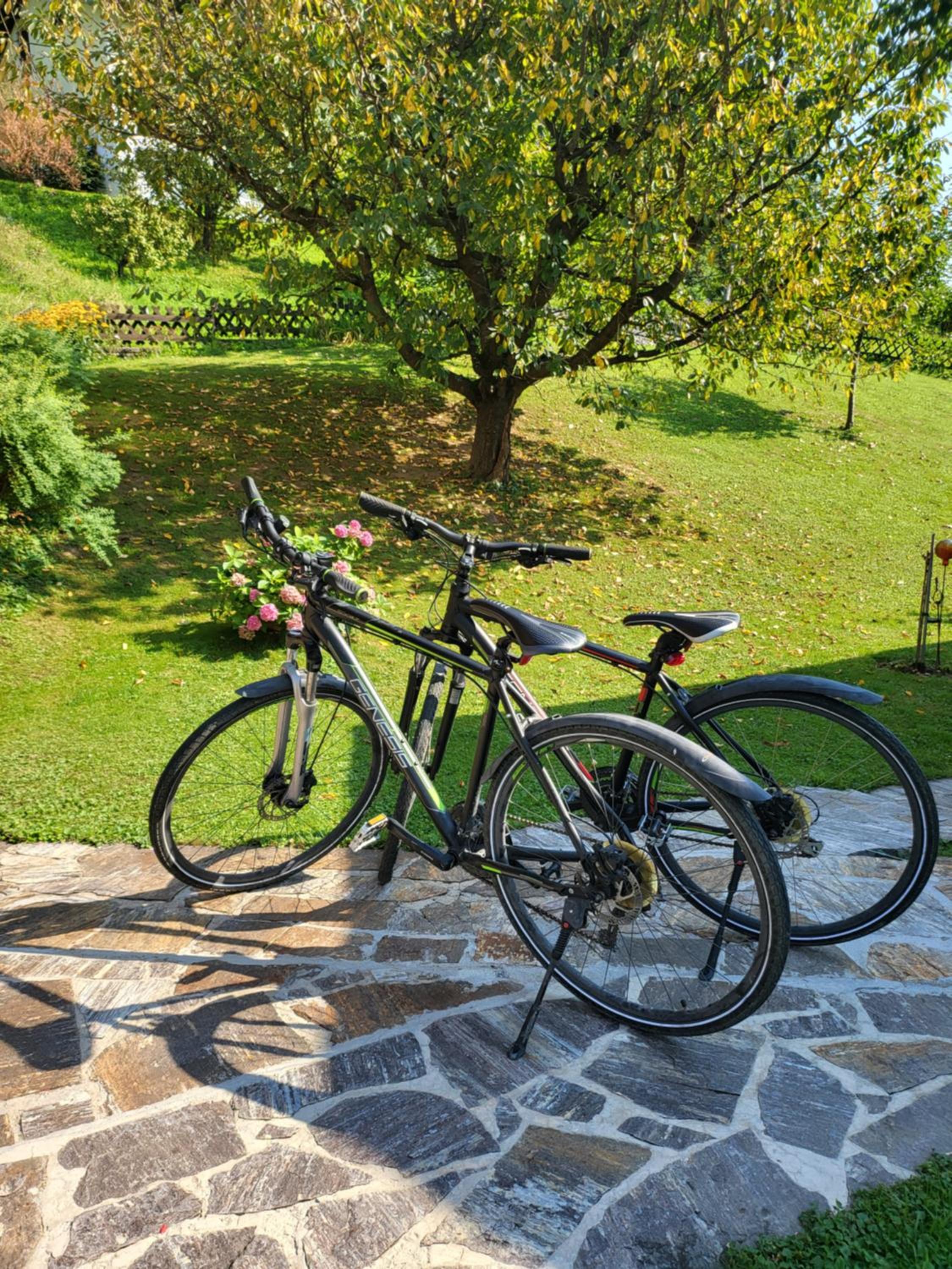 Ferienwohnung Zangl am Seggauberg - Südsteiermark