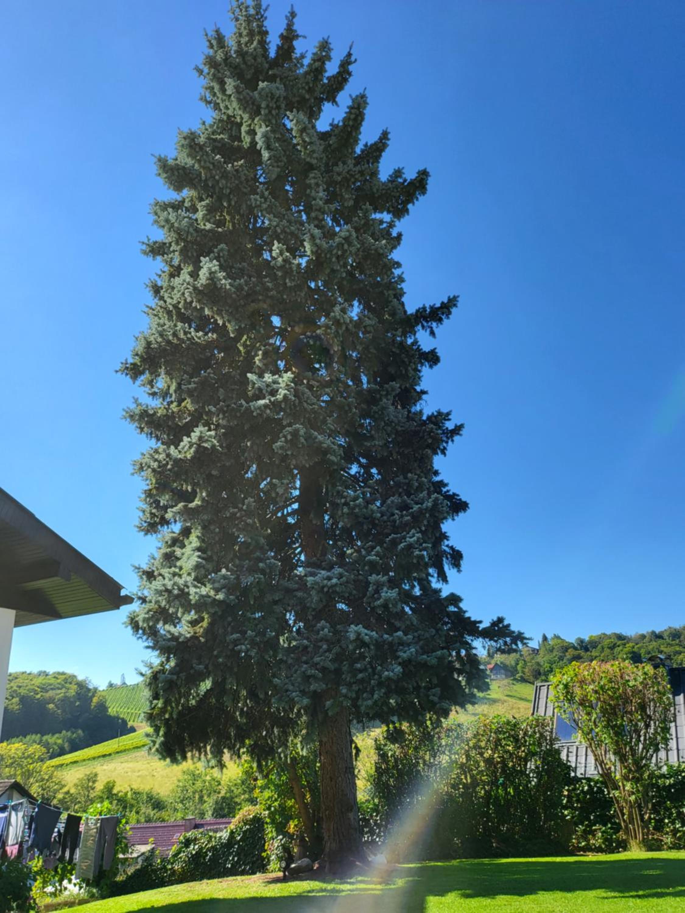 Ferienwohnung Zangl am Seggauberg - Südsteiermark