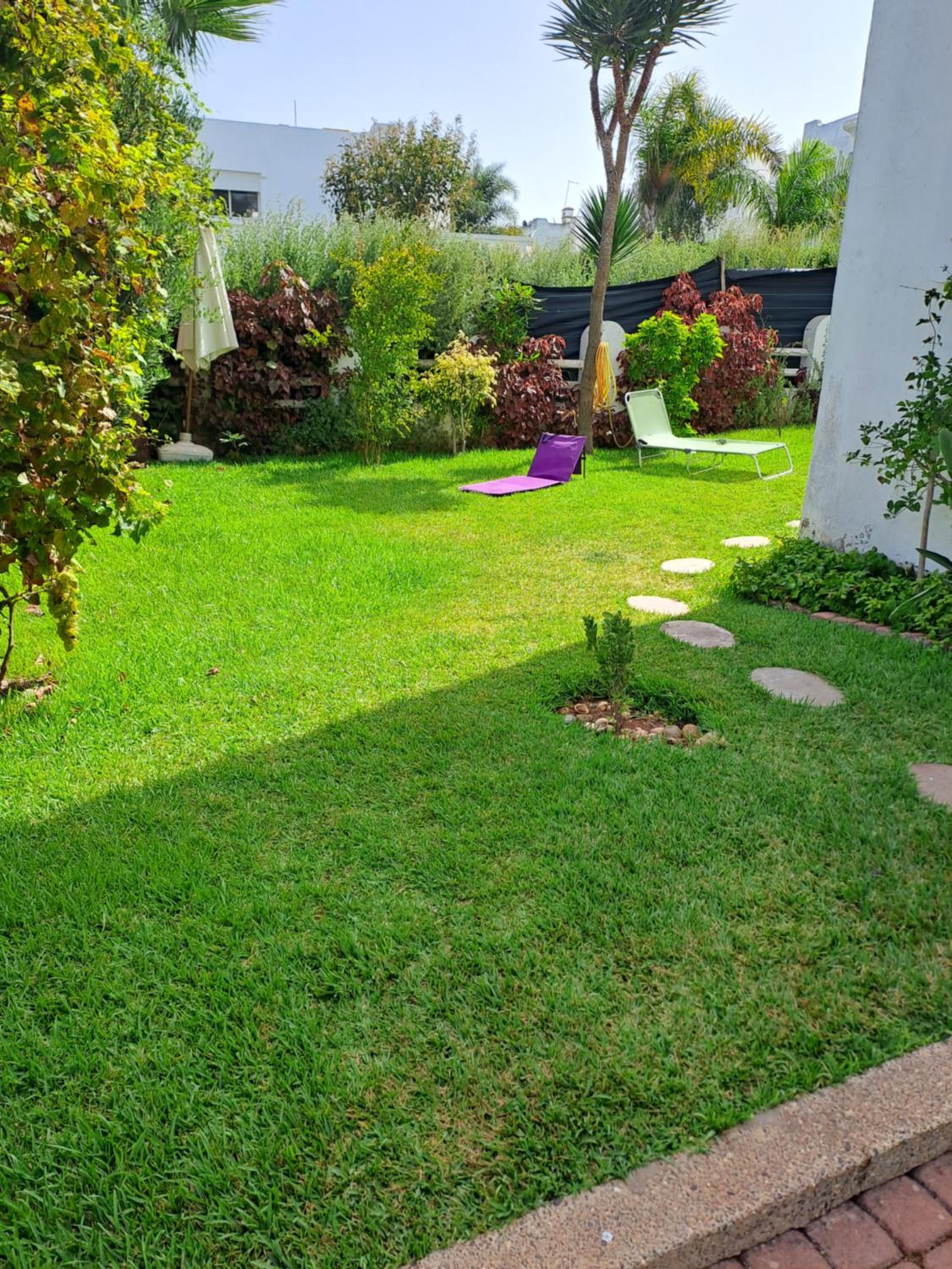 Photo 29
