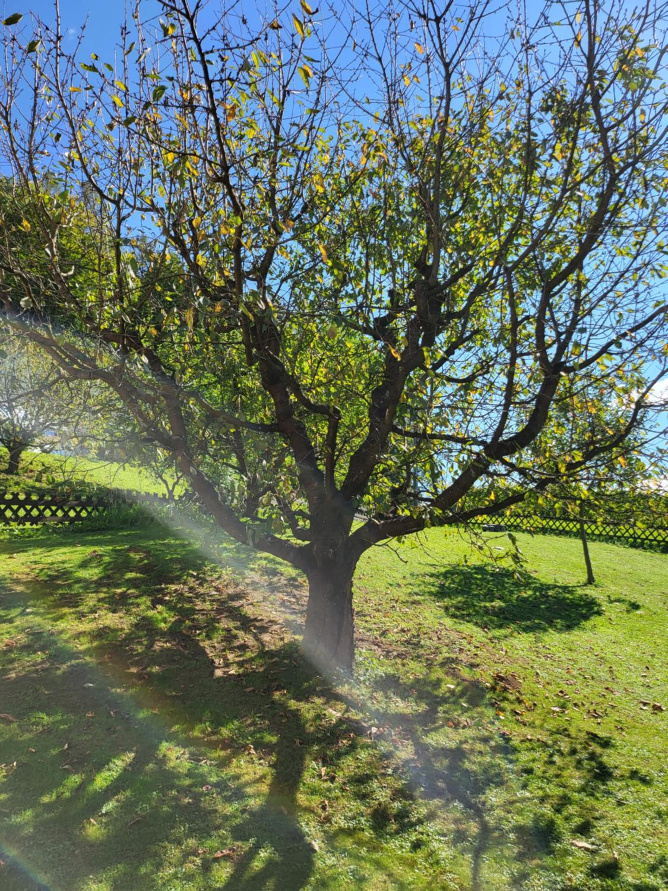 Ferienhaus Zangl am Seggauberg - Südsteiermark