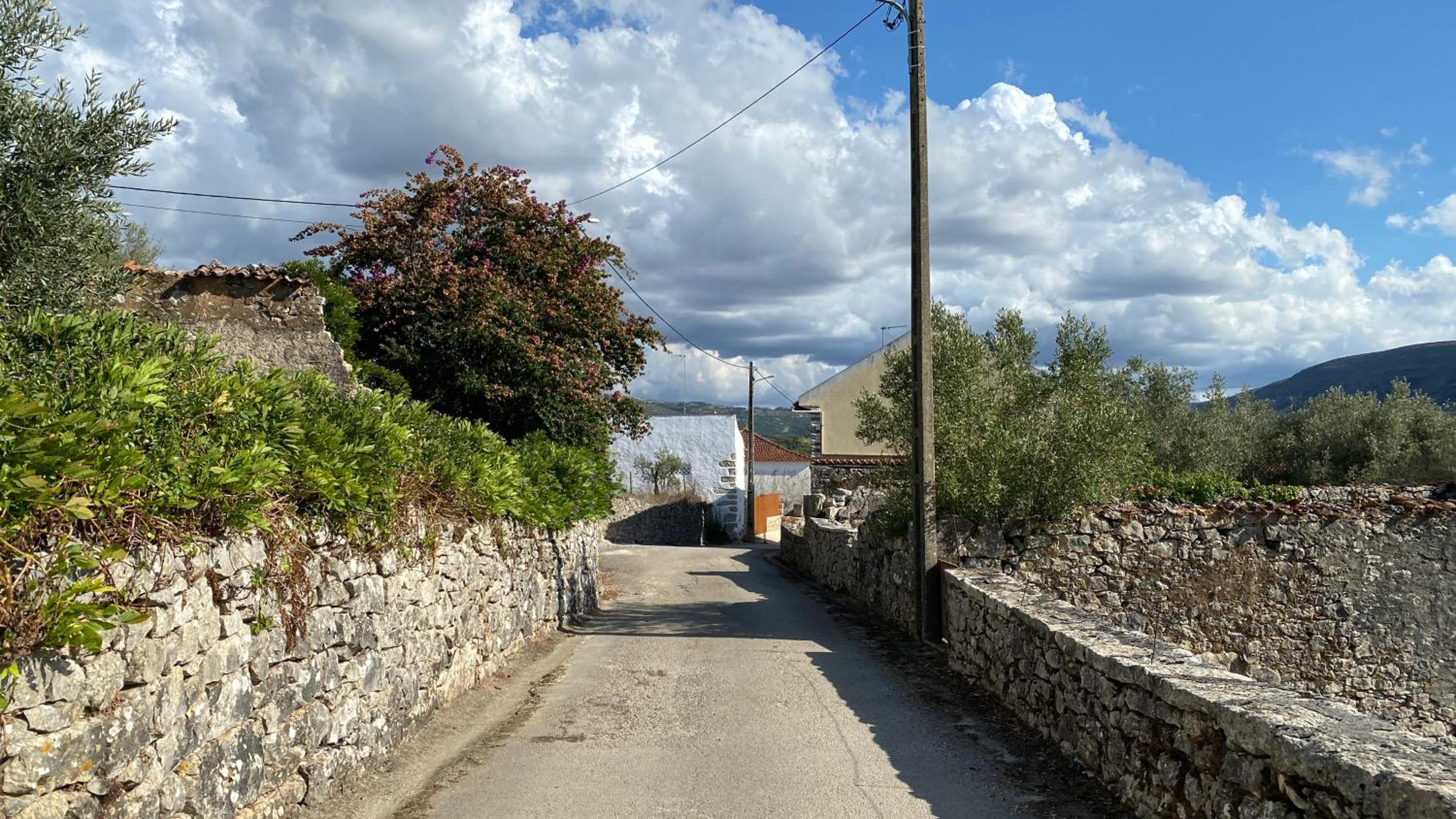Photo 47