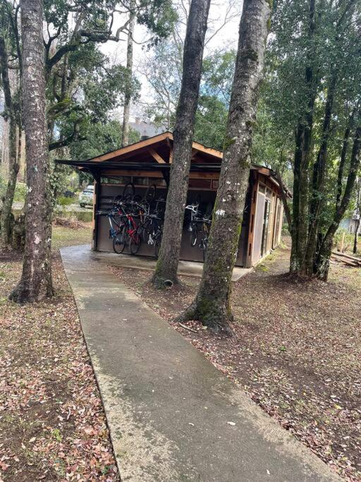 Departamento nuevo, céntrico.