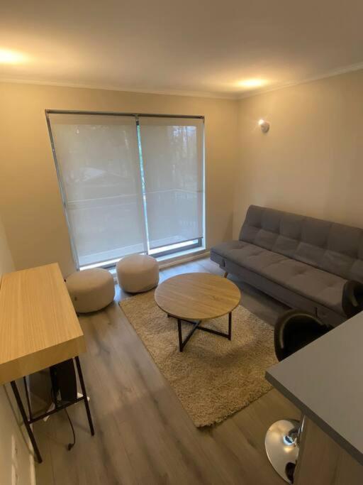 Departamento nuevo, céntrico.