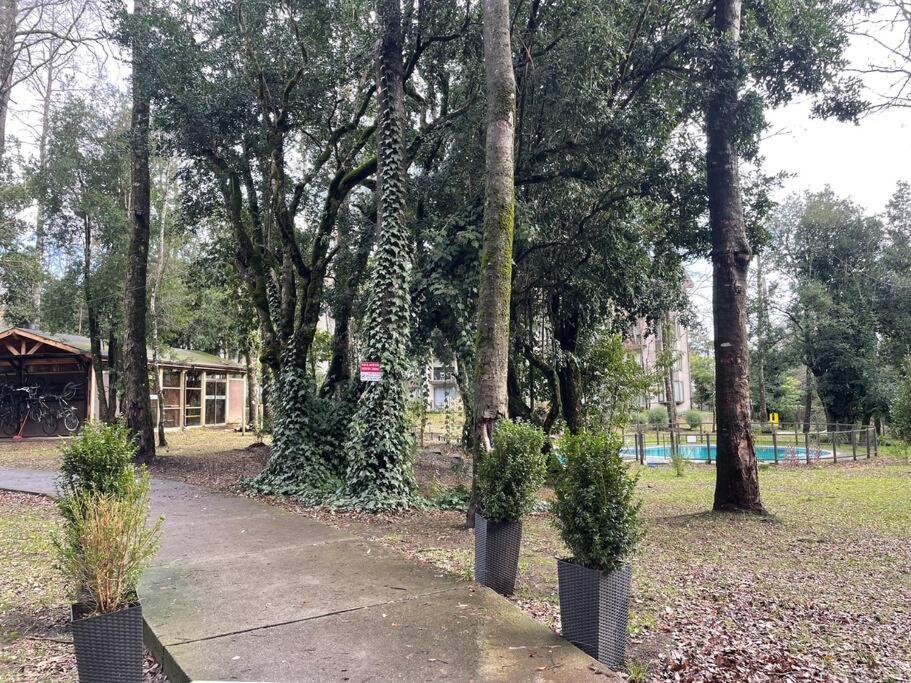 Departamento nuevo, céntrico.
