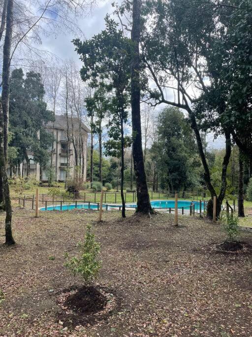Departamento nuevo, céntrico.