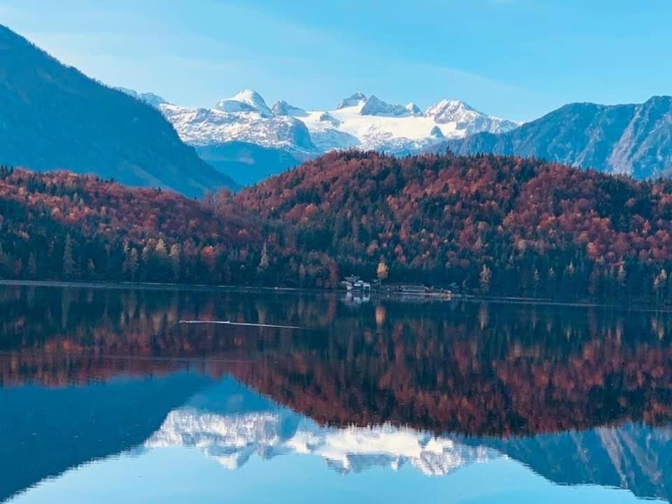 SIEGLGUT