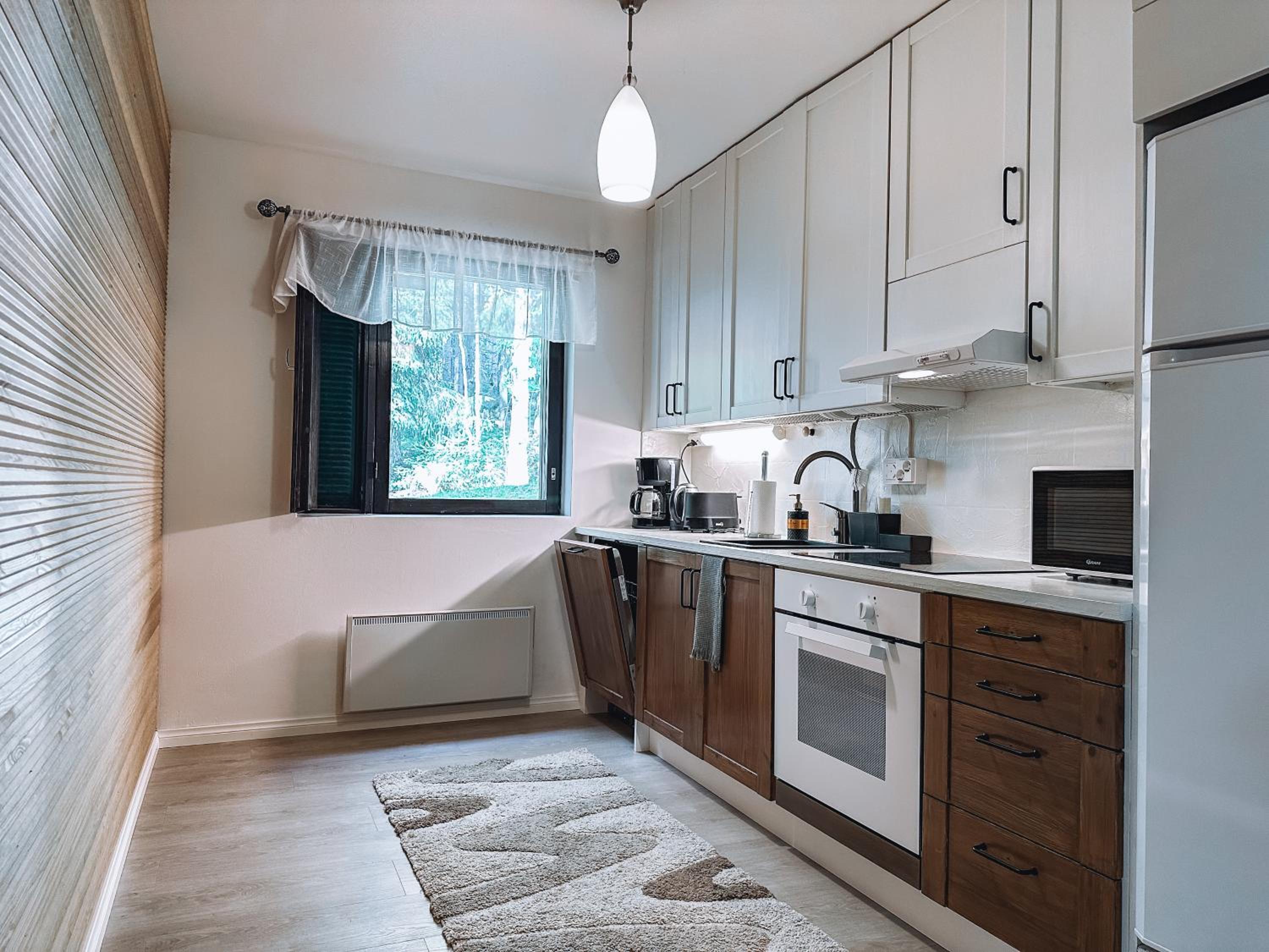 Sapelin airbnb, Parkano