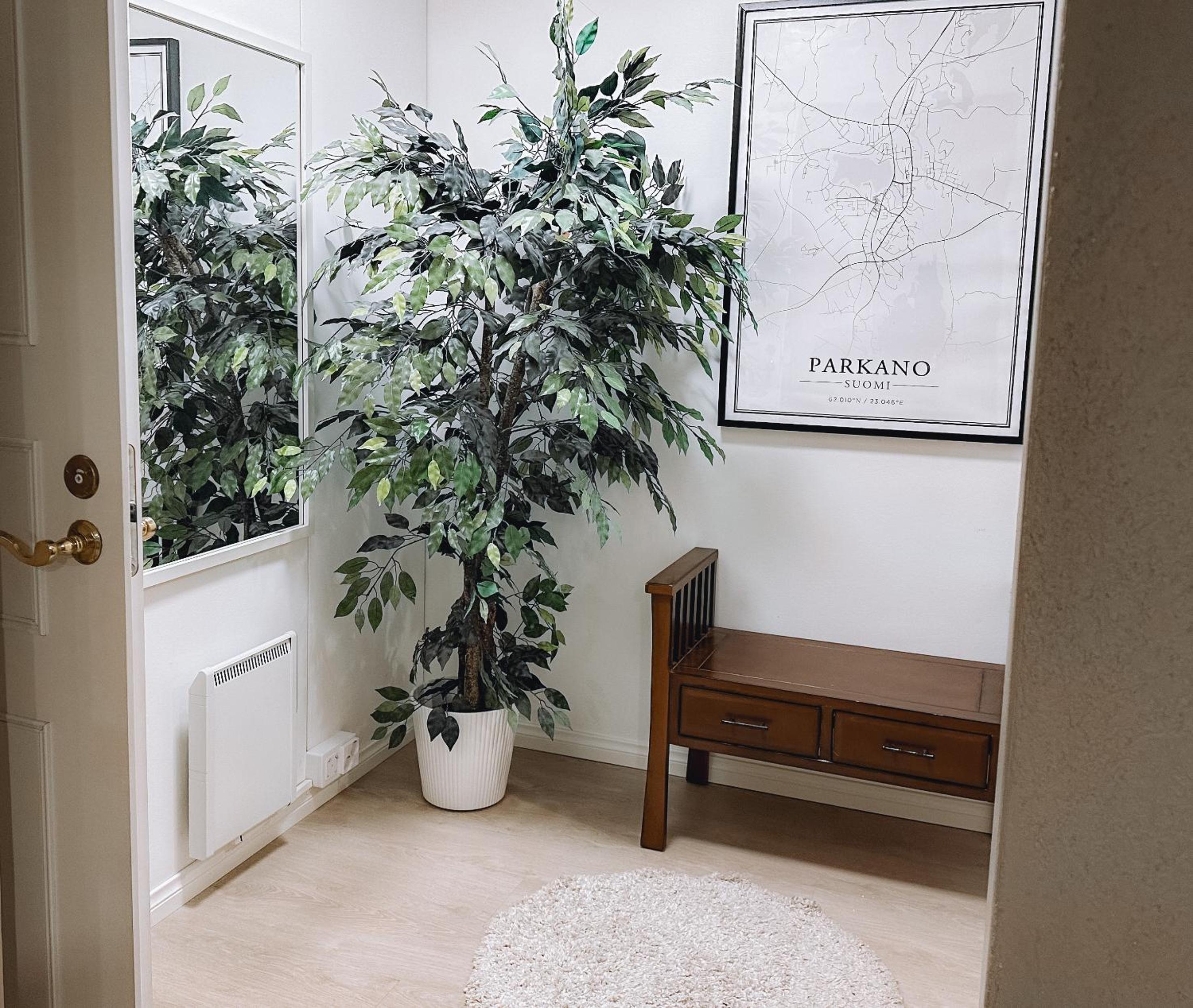 Sapelin airbnb, Parkano