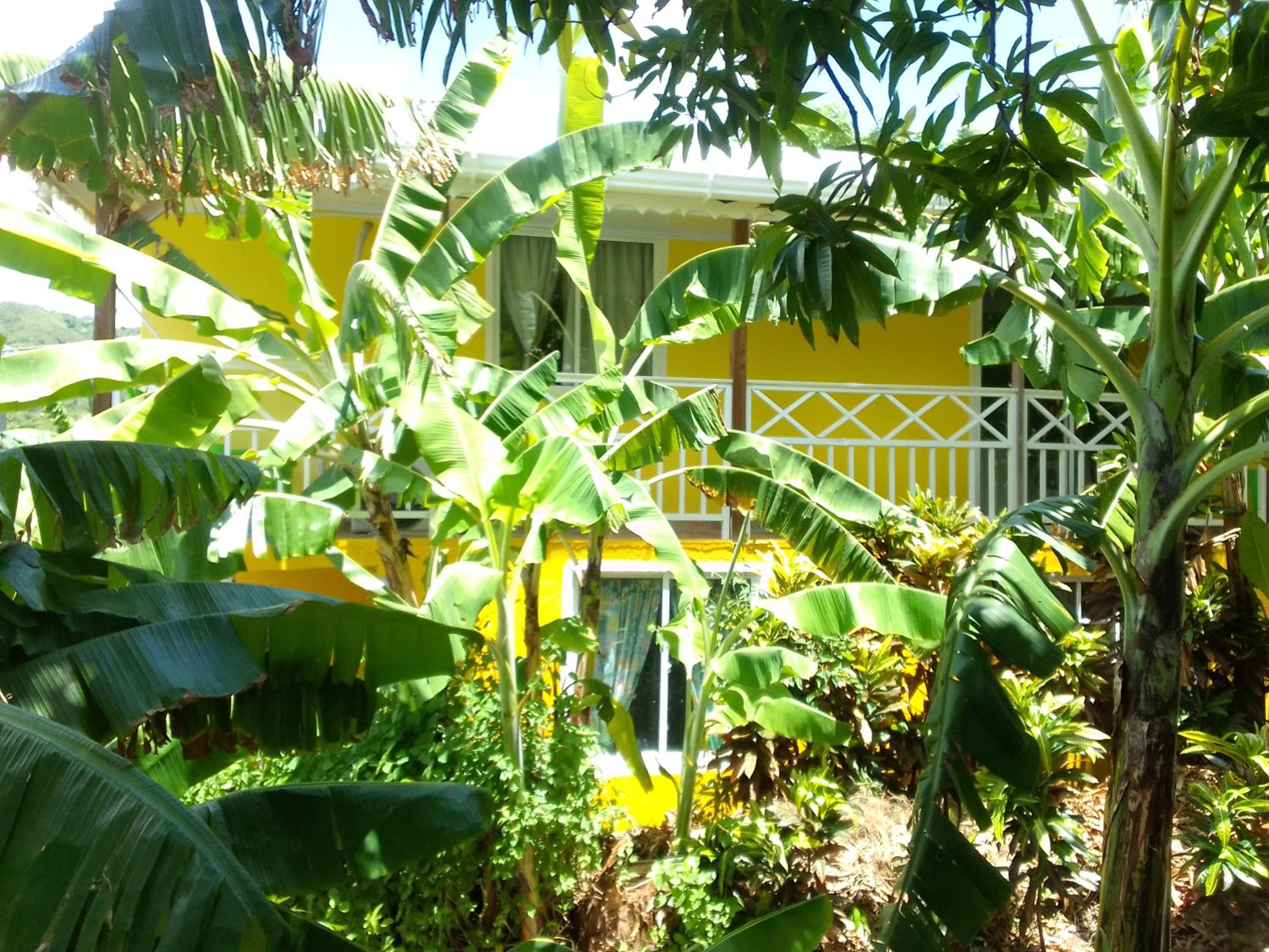 Posada Hostel Adri