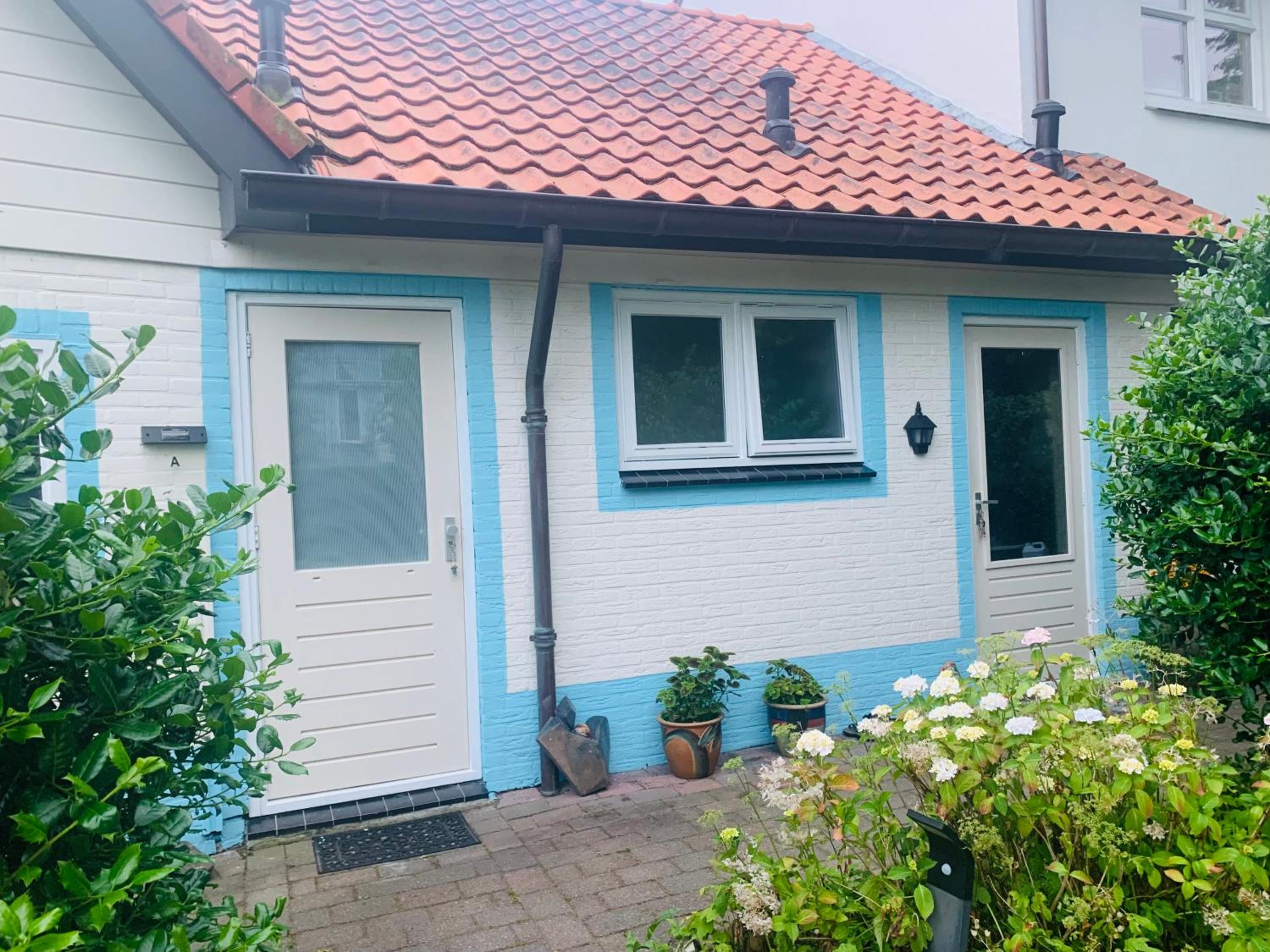 Balsemientexel