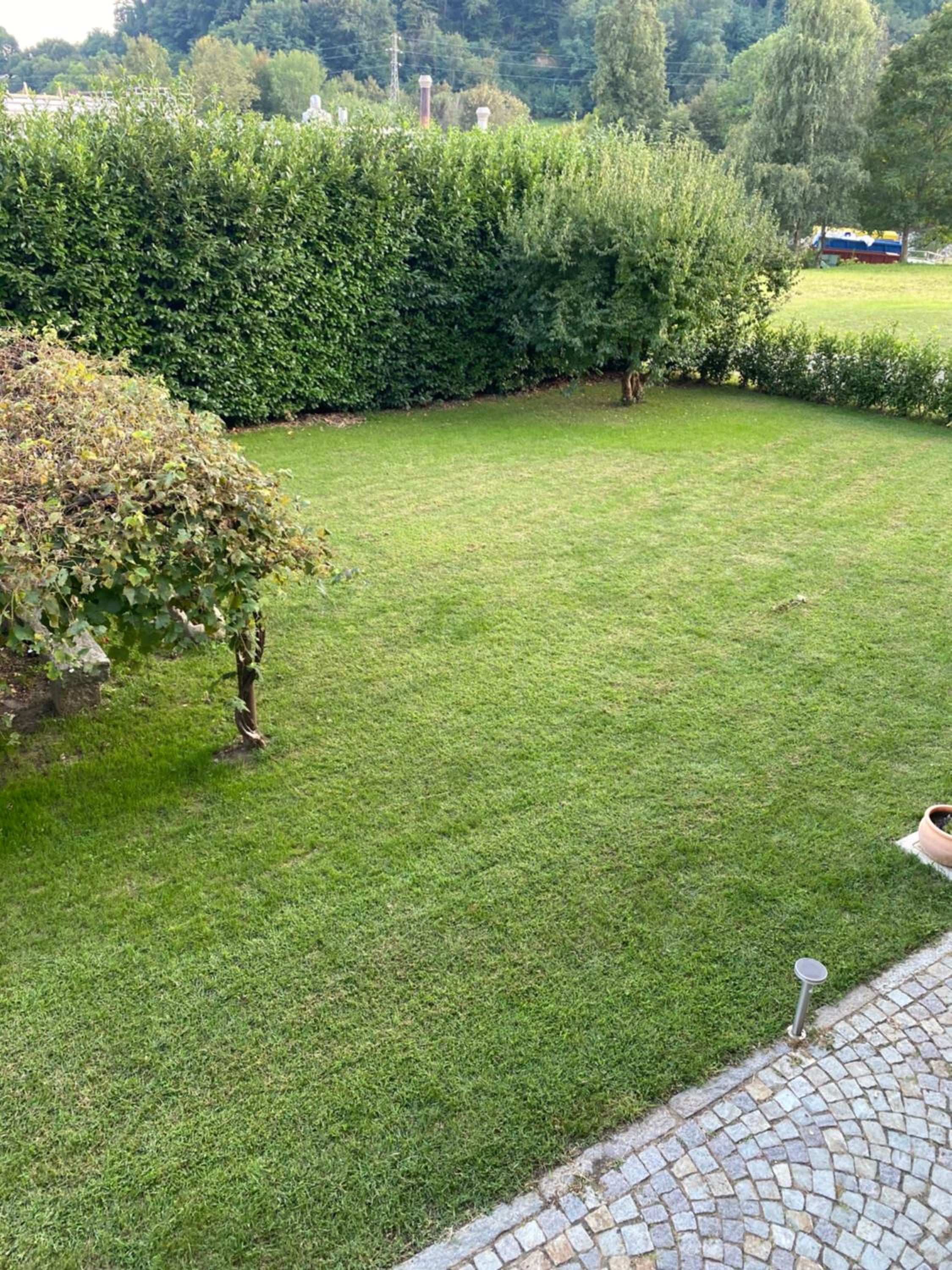 Photo 39