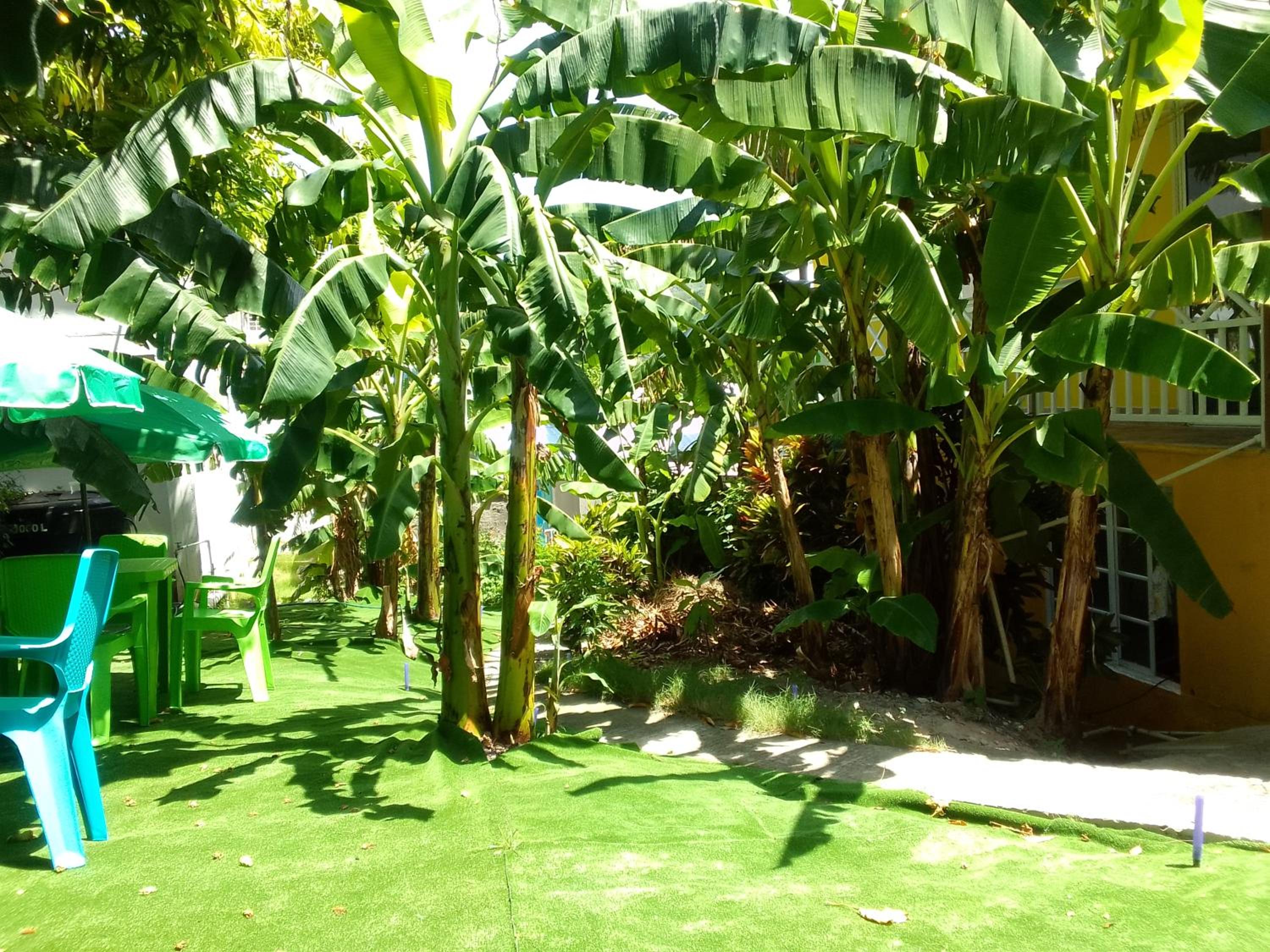 Posada Hostel Adri