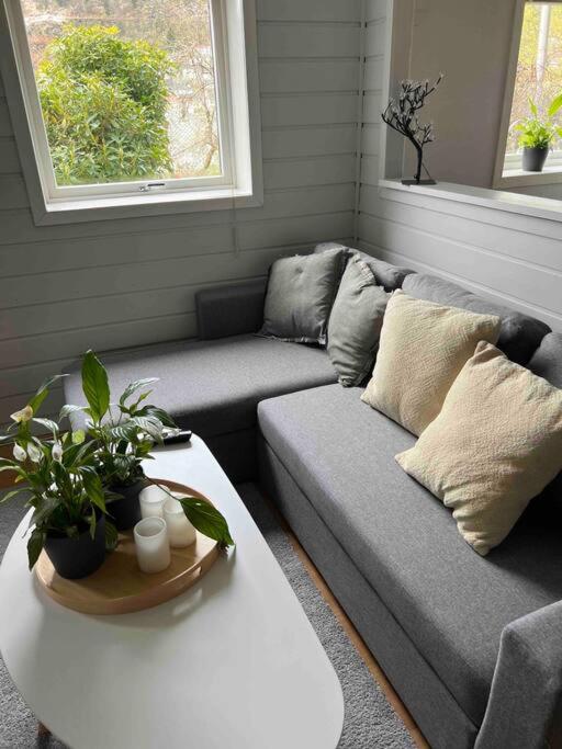 Cosy apartment with free parking view 5