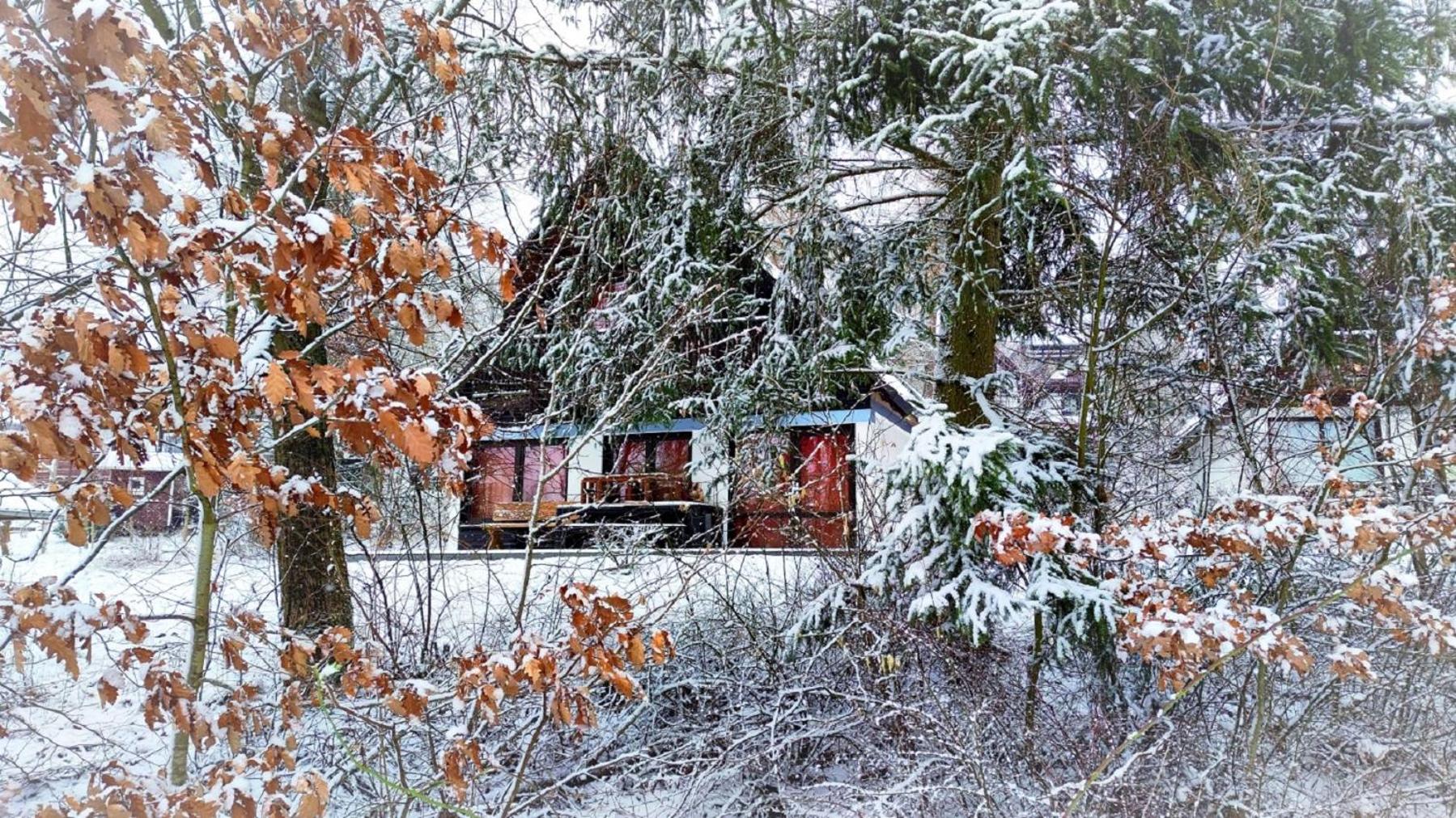 Ferienhaus Laange