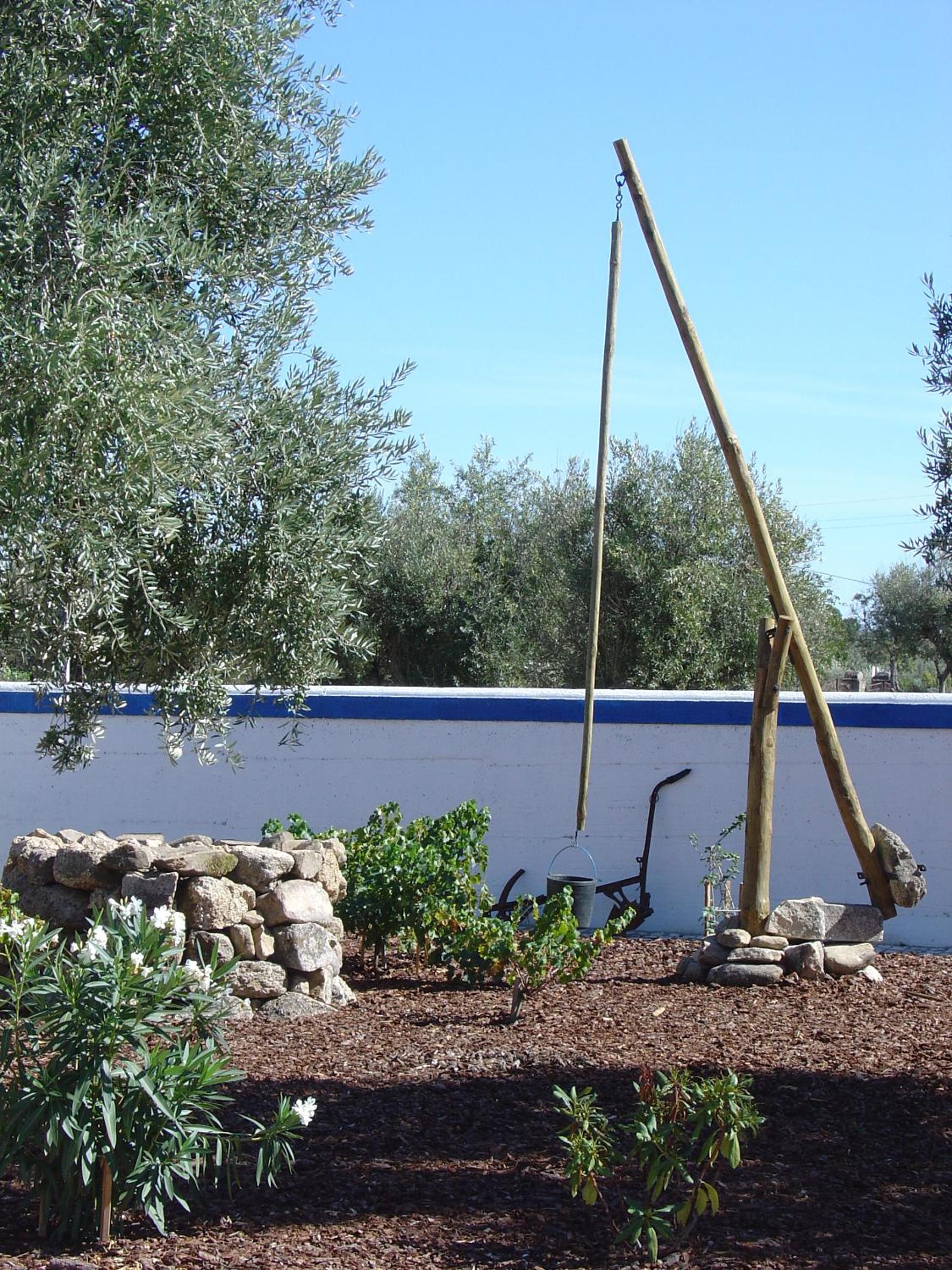 Photo 43