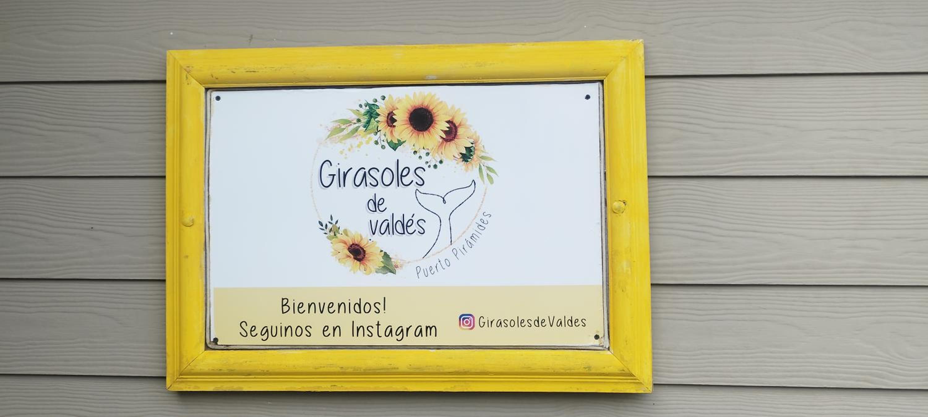 Girasoles de Valdes