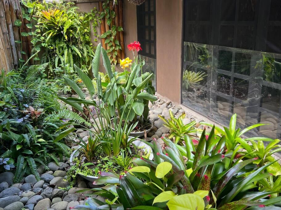 Magical 3 bed home- Private pool + Beach access