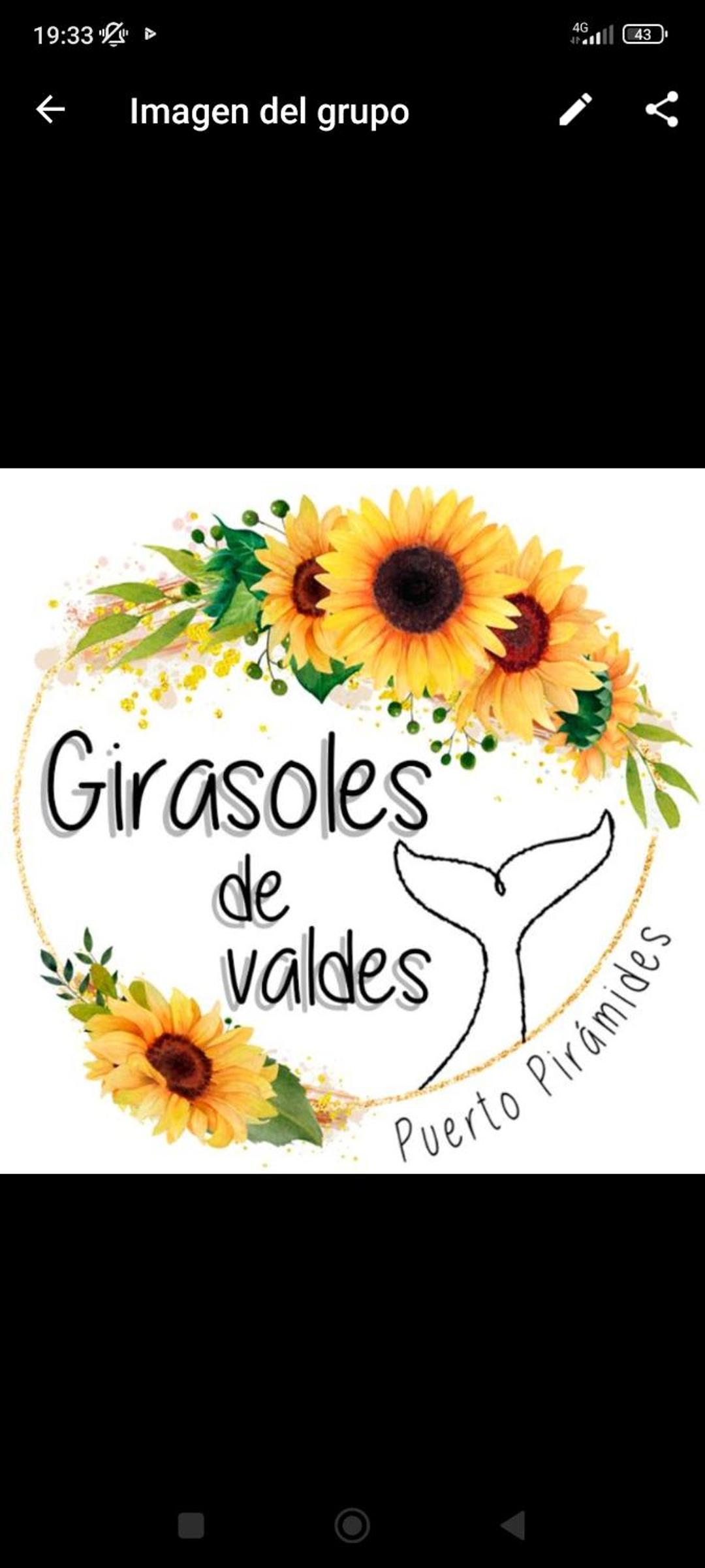 Girasoles de Valdes