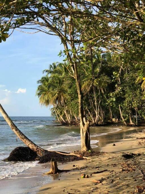 Magical 3 bed home- Private pool + Beach access