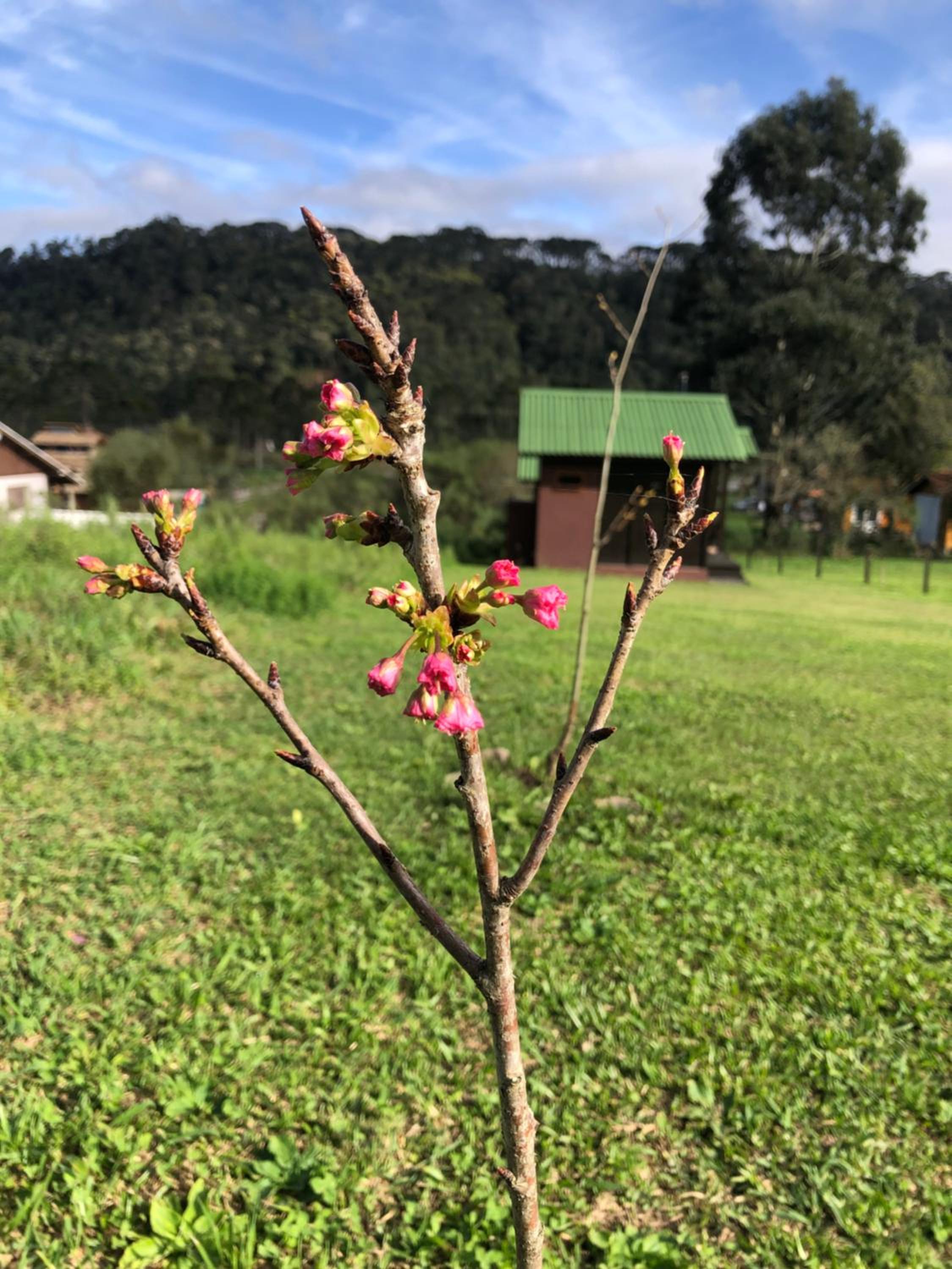 Chalé na Serra Urubici