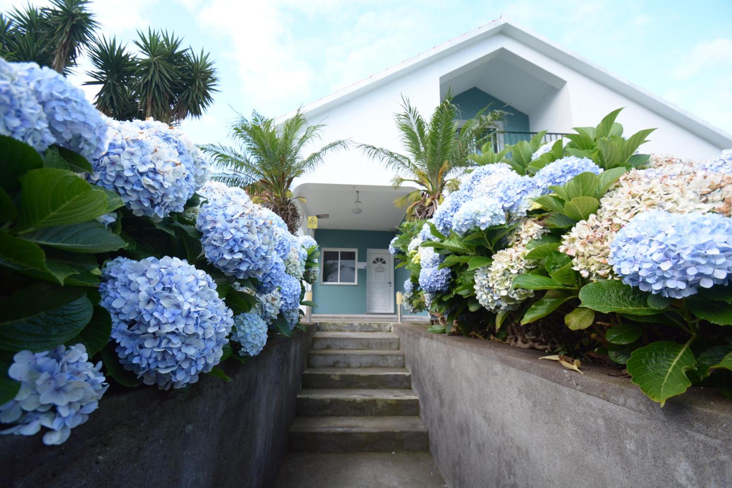 Casinha das Hortênsias view 2